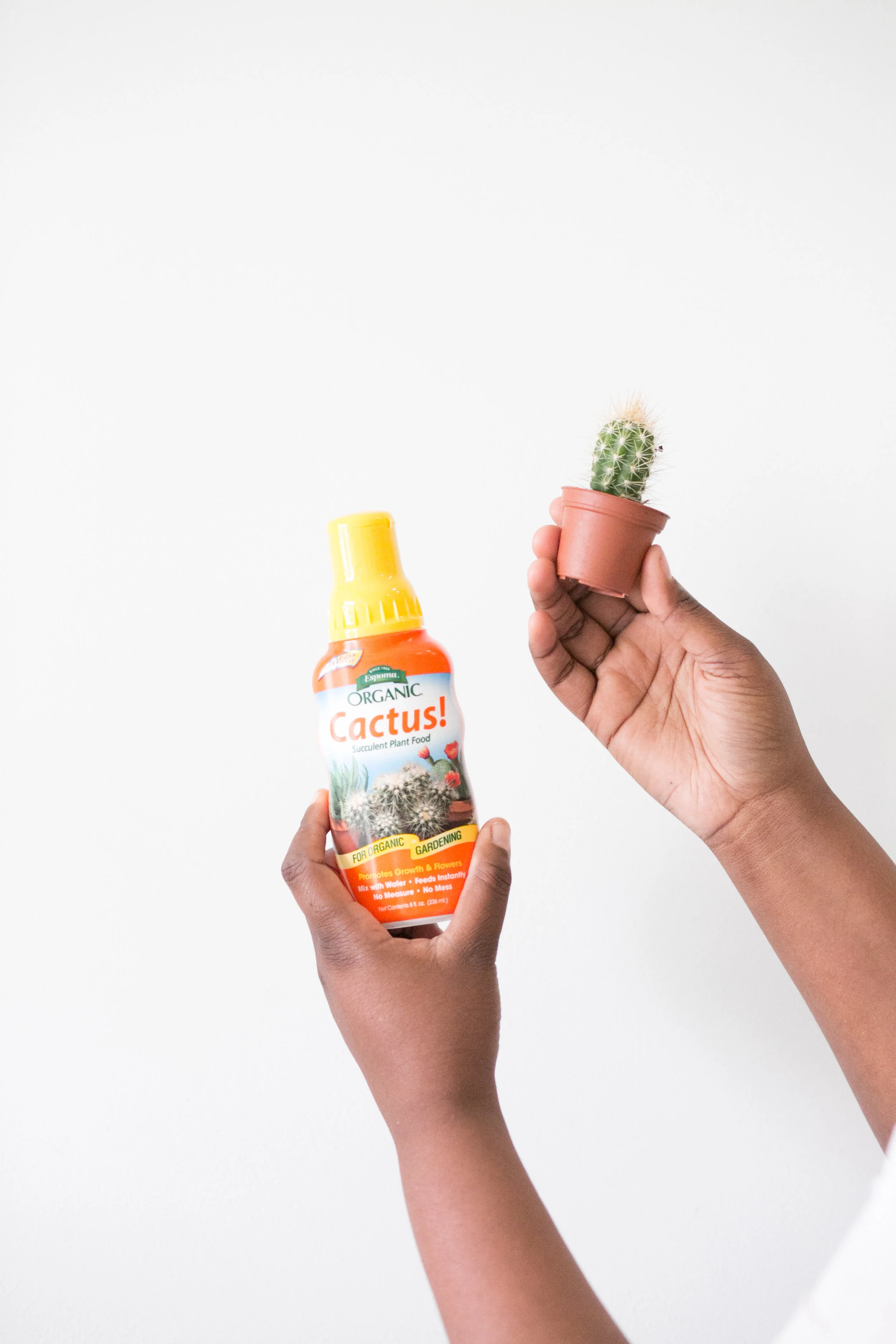 Cactus food is slightly different than regular houseplant food because it is higher in phosphate than nitrogen. We recommend a 5 -10 - 5 ratio (or wherever the phosphate is double the amount of nitrogen).