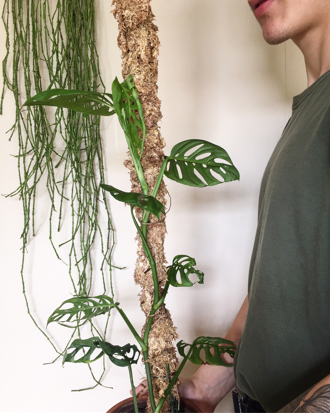 Moss Pole via Bloom and Grow Radio