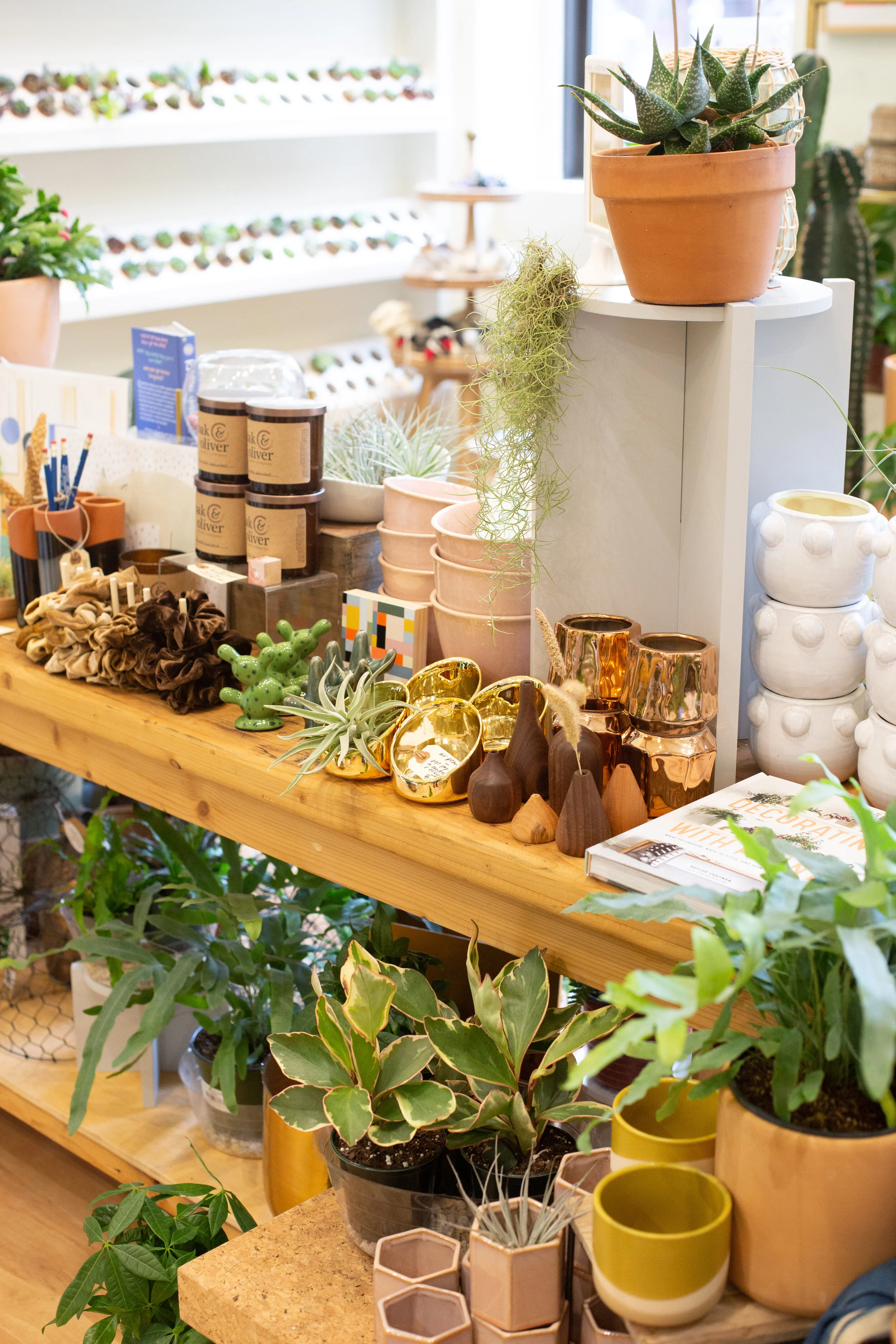 5 Gifts for the Plant Lover on Your List — The Zen Succulent Durham's