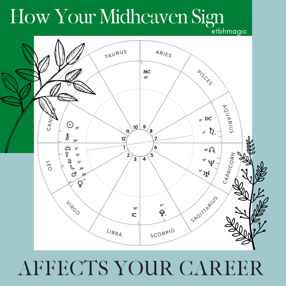 How Your Midheaven Sign Affects Your Career The Zen Succulent Durham S Neighborhood Plant Gift Shop