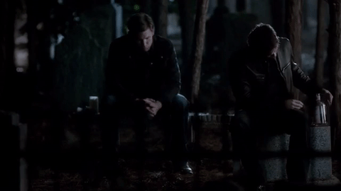 Best: Damon and Alaric (IMAGEs rights belong to: The CW and Warner Brothers)