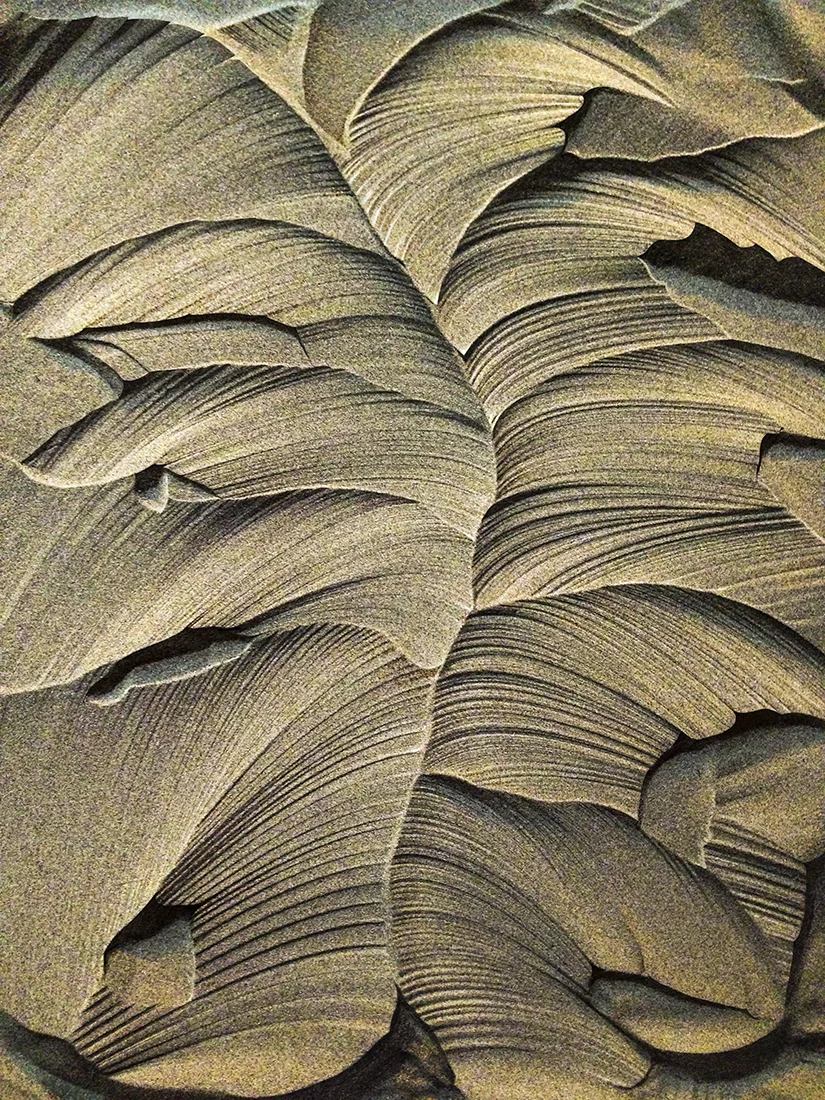 Dunes.jpg