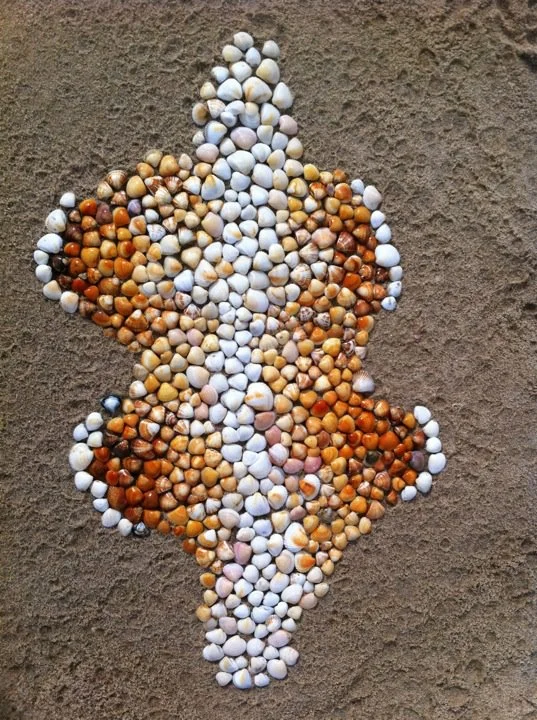 Bahia shells.jpg
