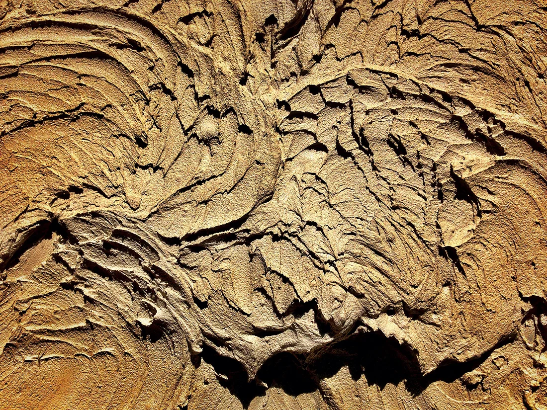 Mud.jpg