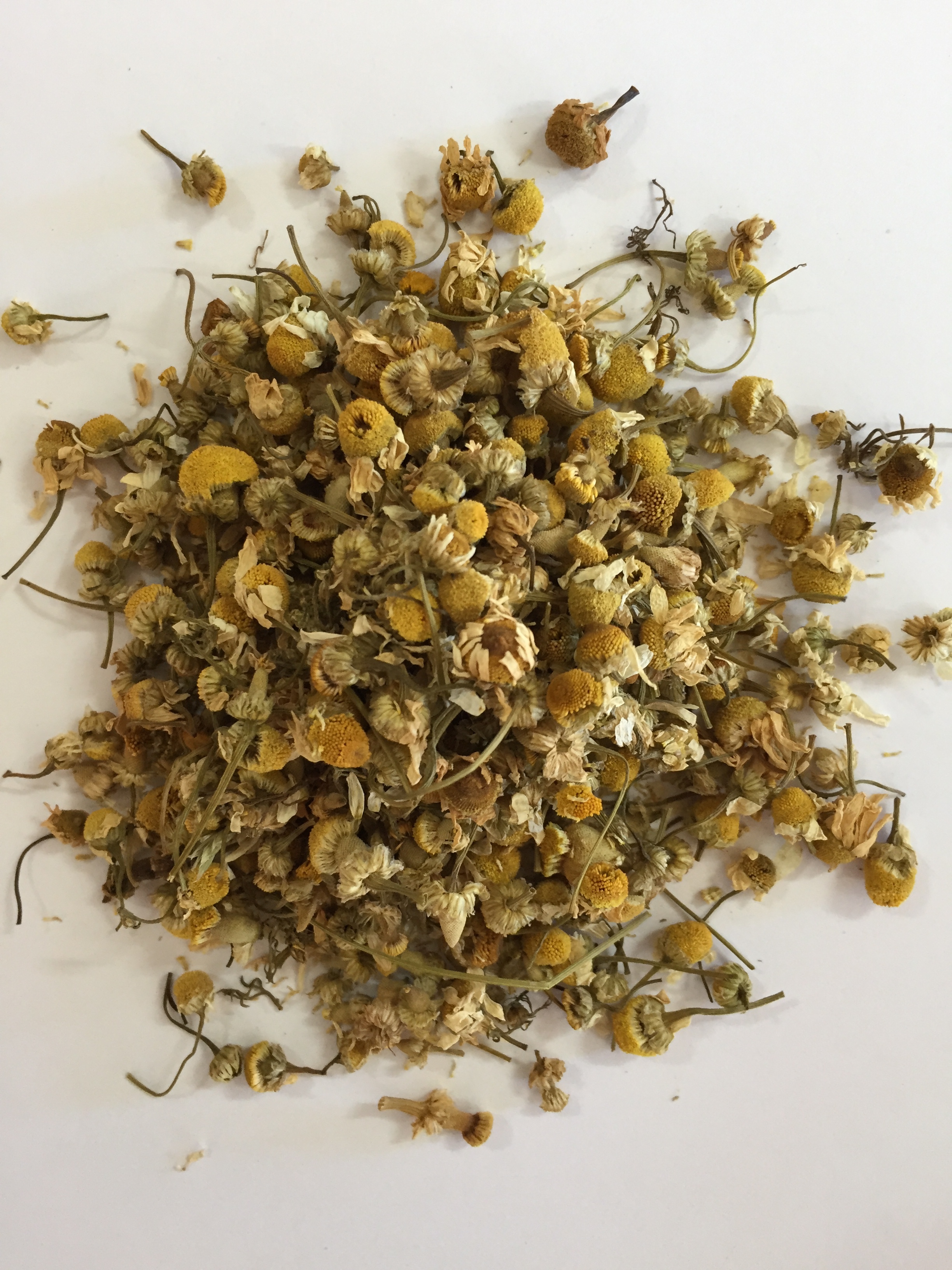 chamomile.JPG