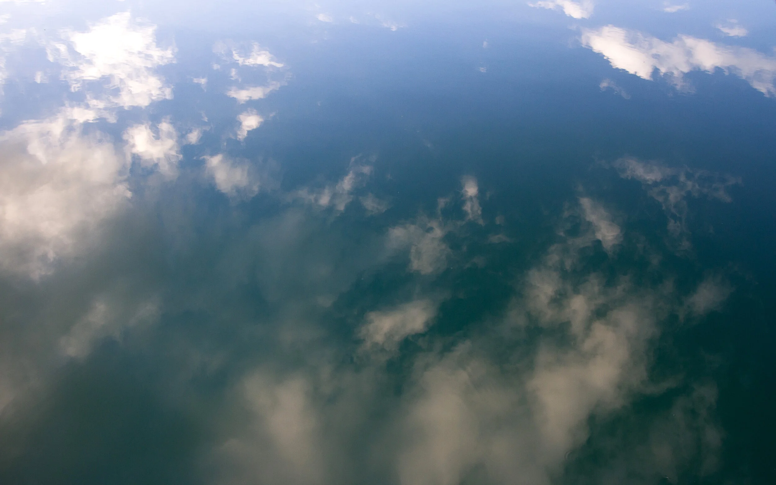 Landing page - pond.jpg