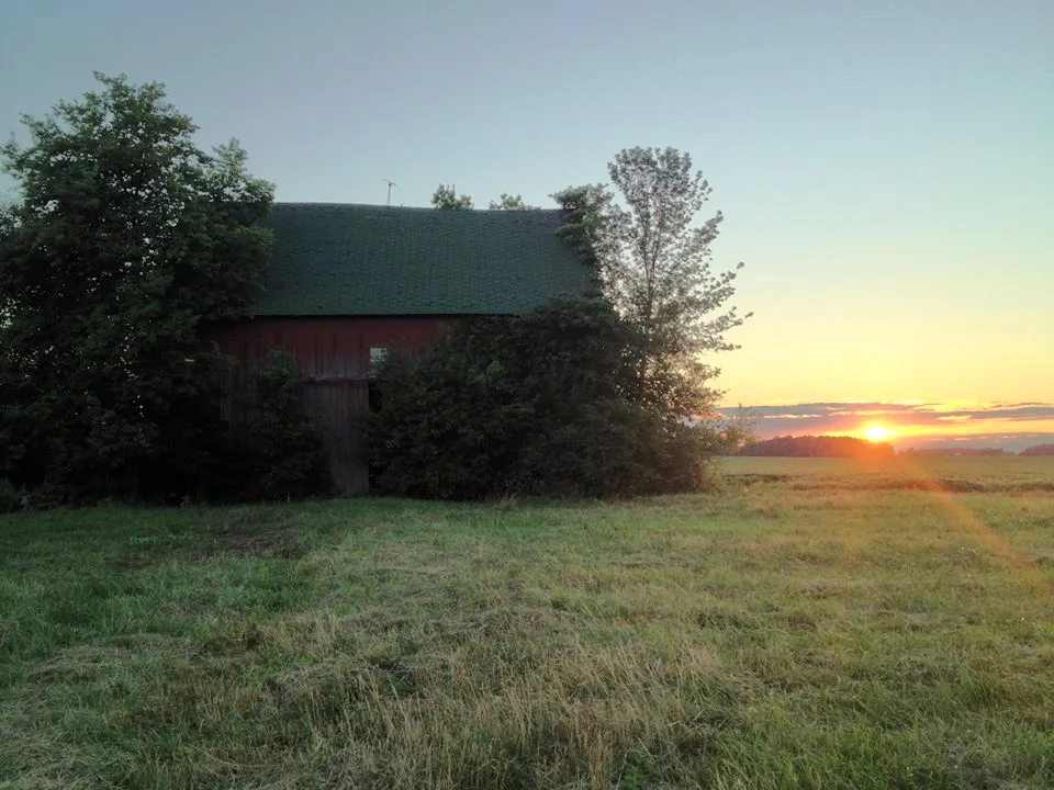 barn.jpg