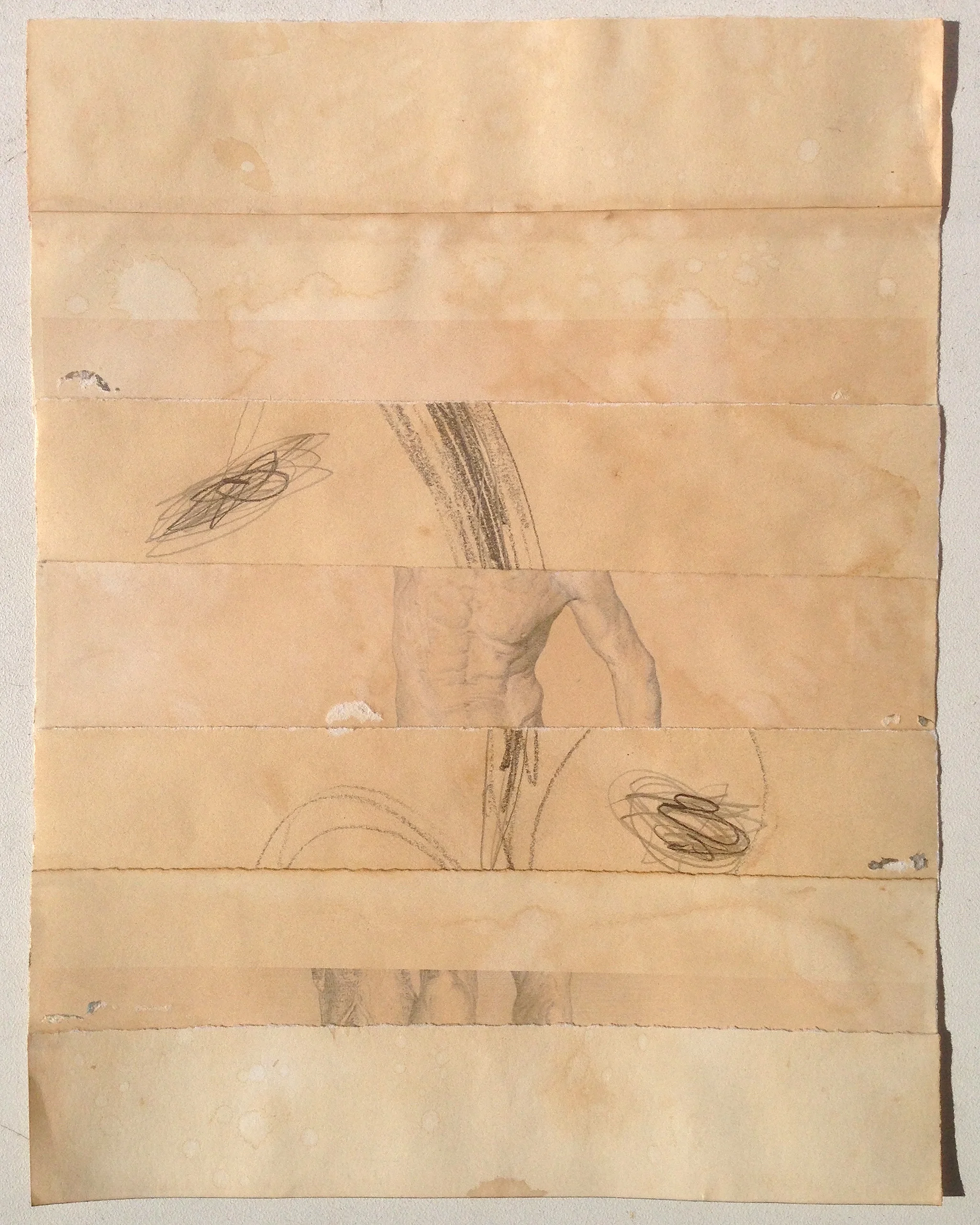 Guy Peppin Disjecta Membra V 2012