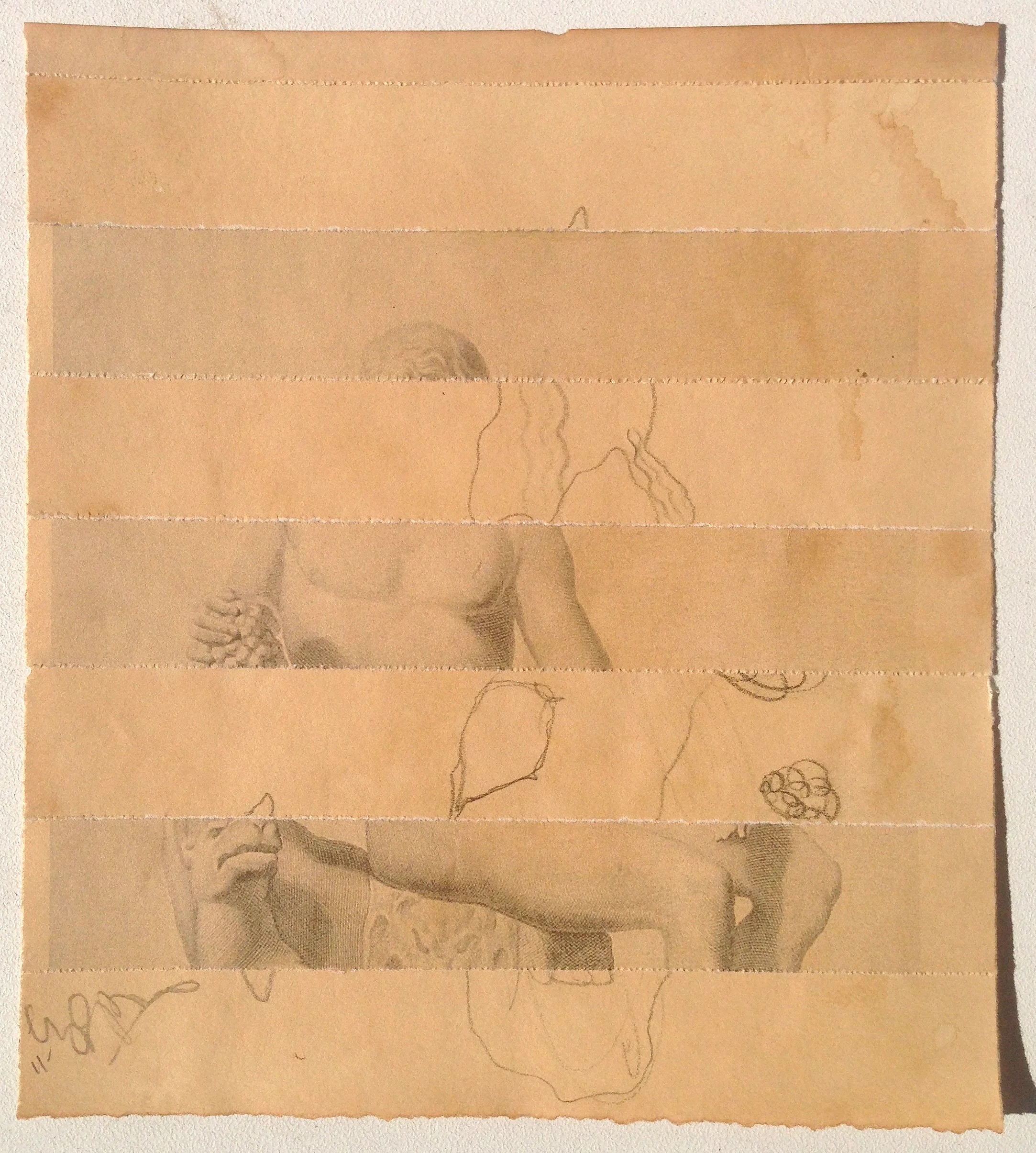 Guy Peppin Disjecta Membra XIII 2012