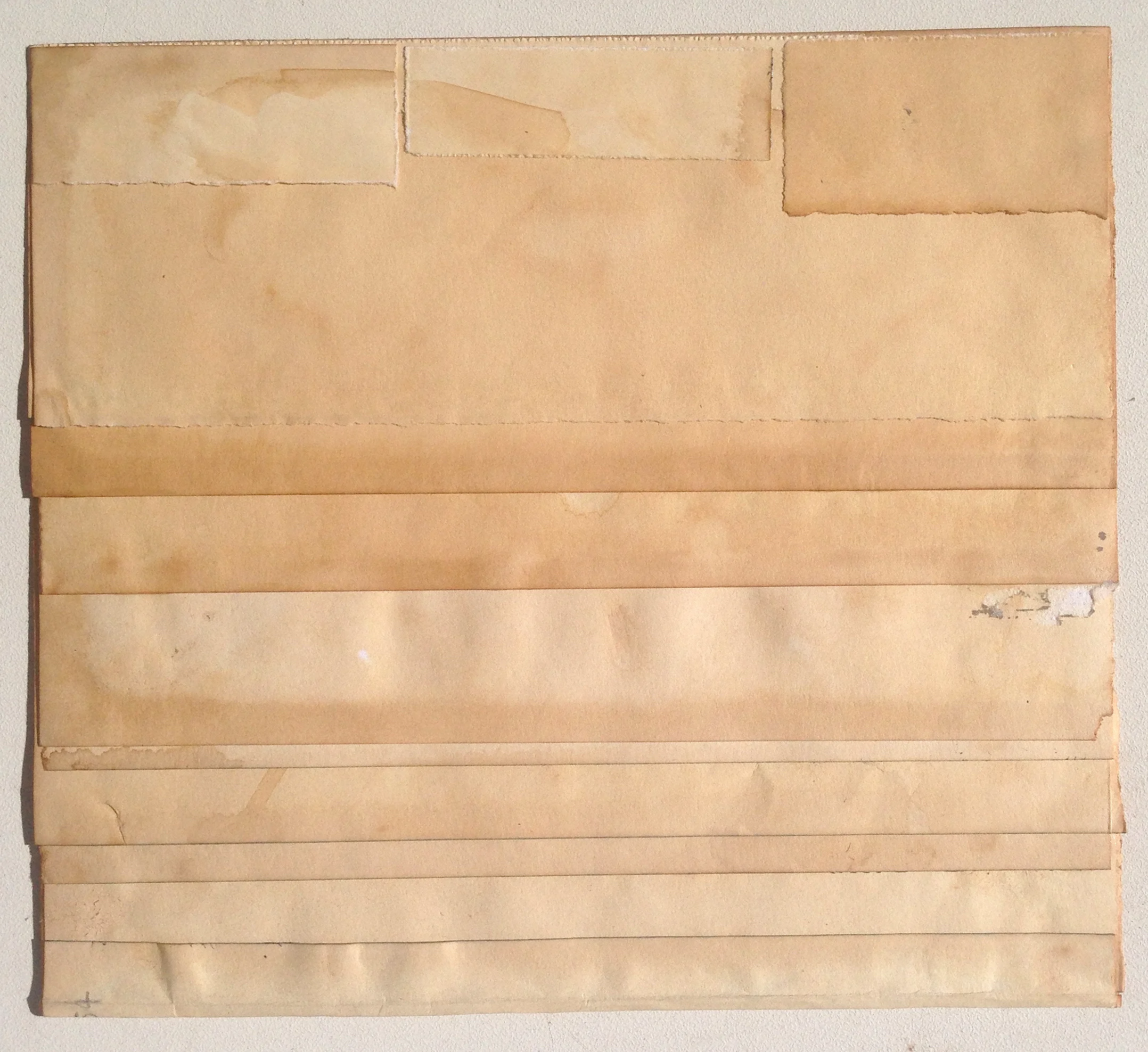 Guy Peppin Disjecta Membra XVII 2012
