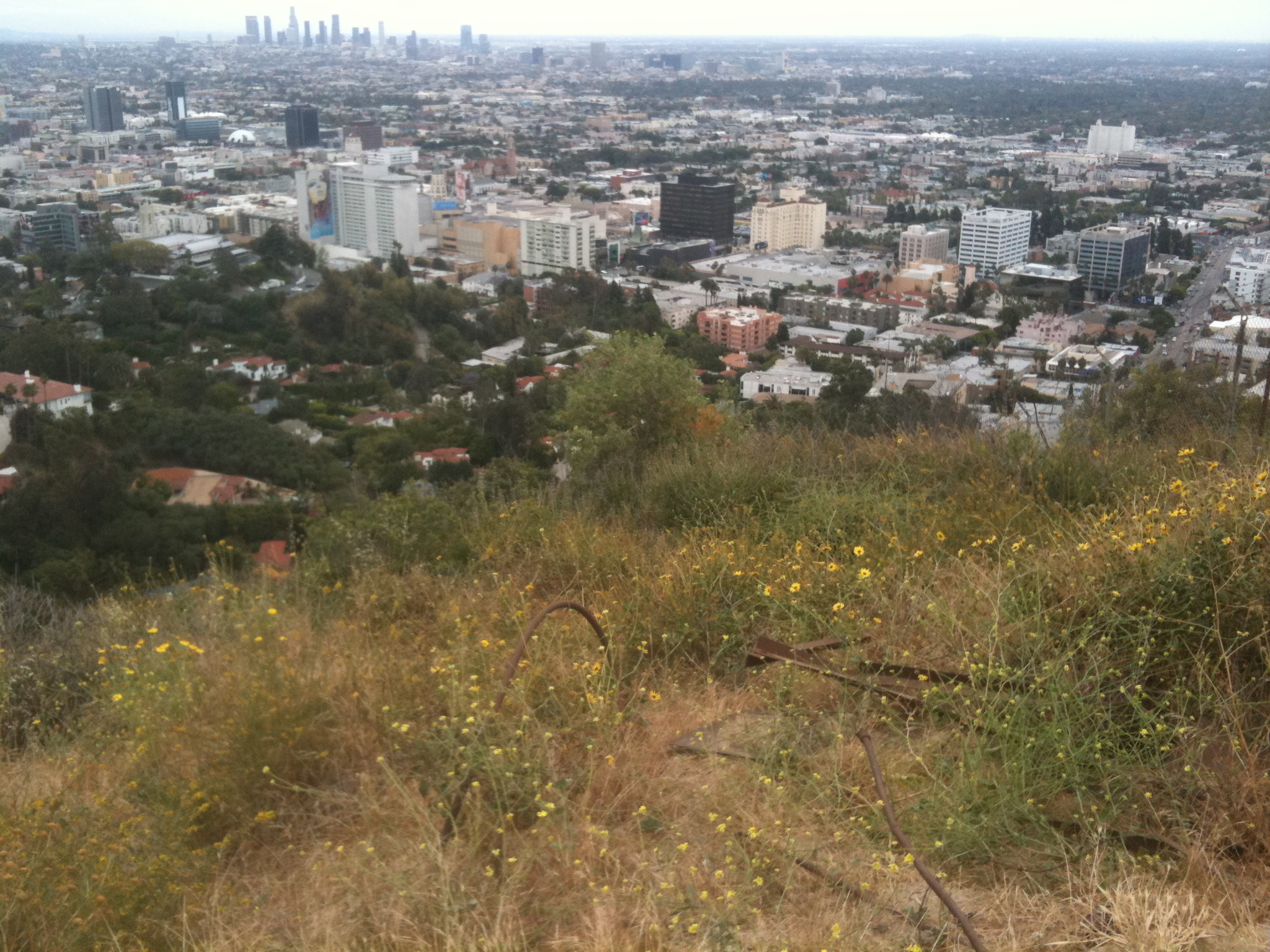 Los Angeles from Runyon Canyon Park 2011