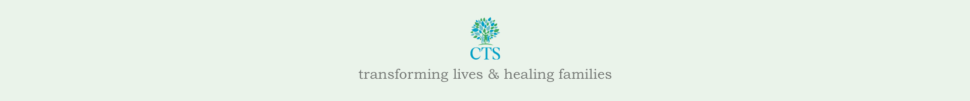 cts-banner.png