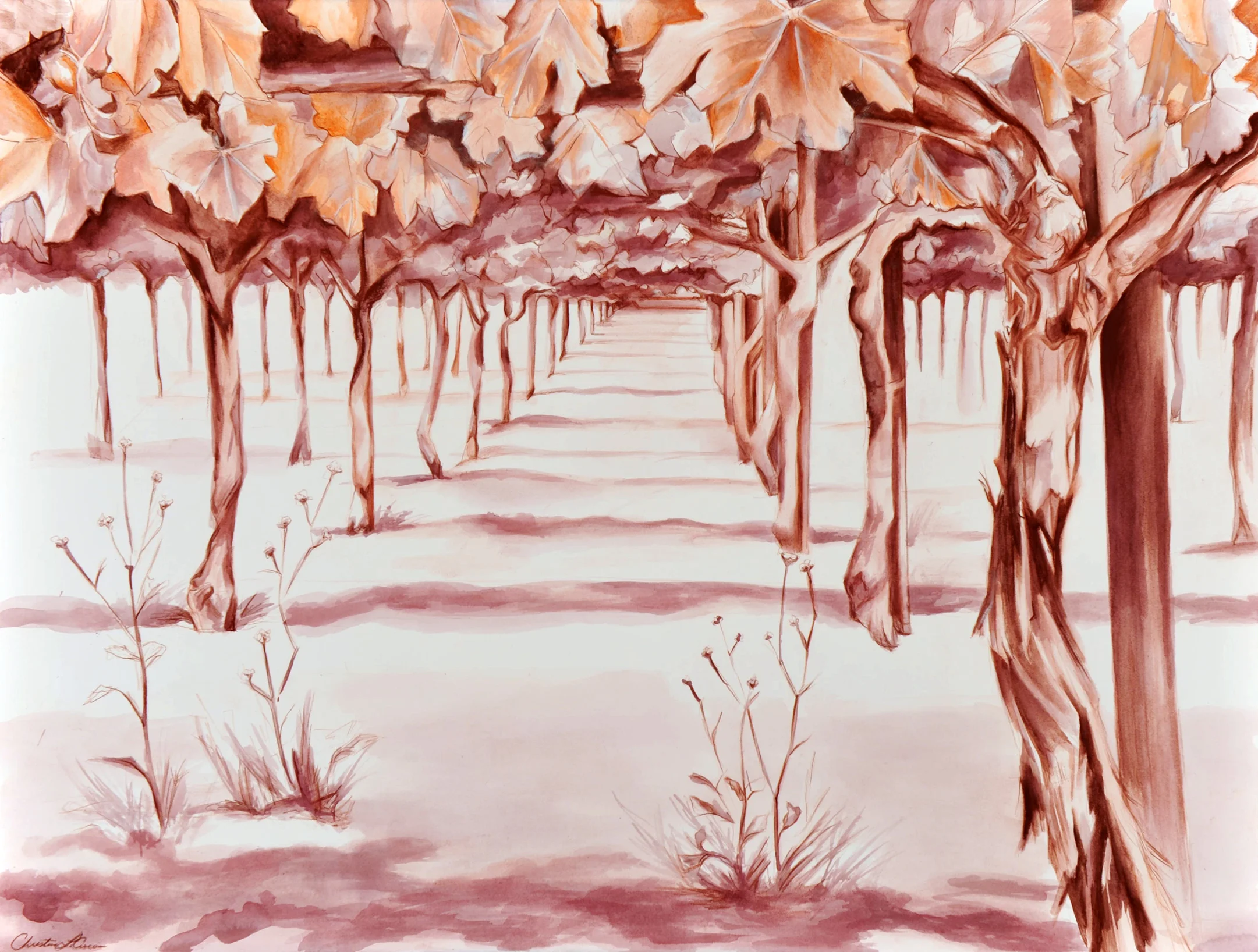 amongthevines.jpg