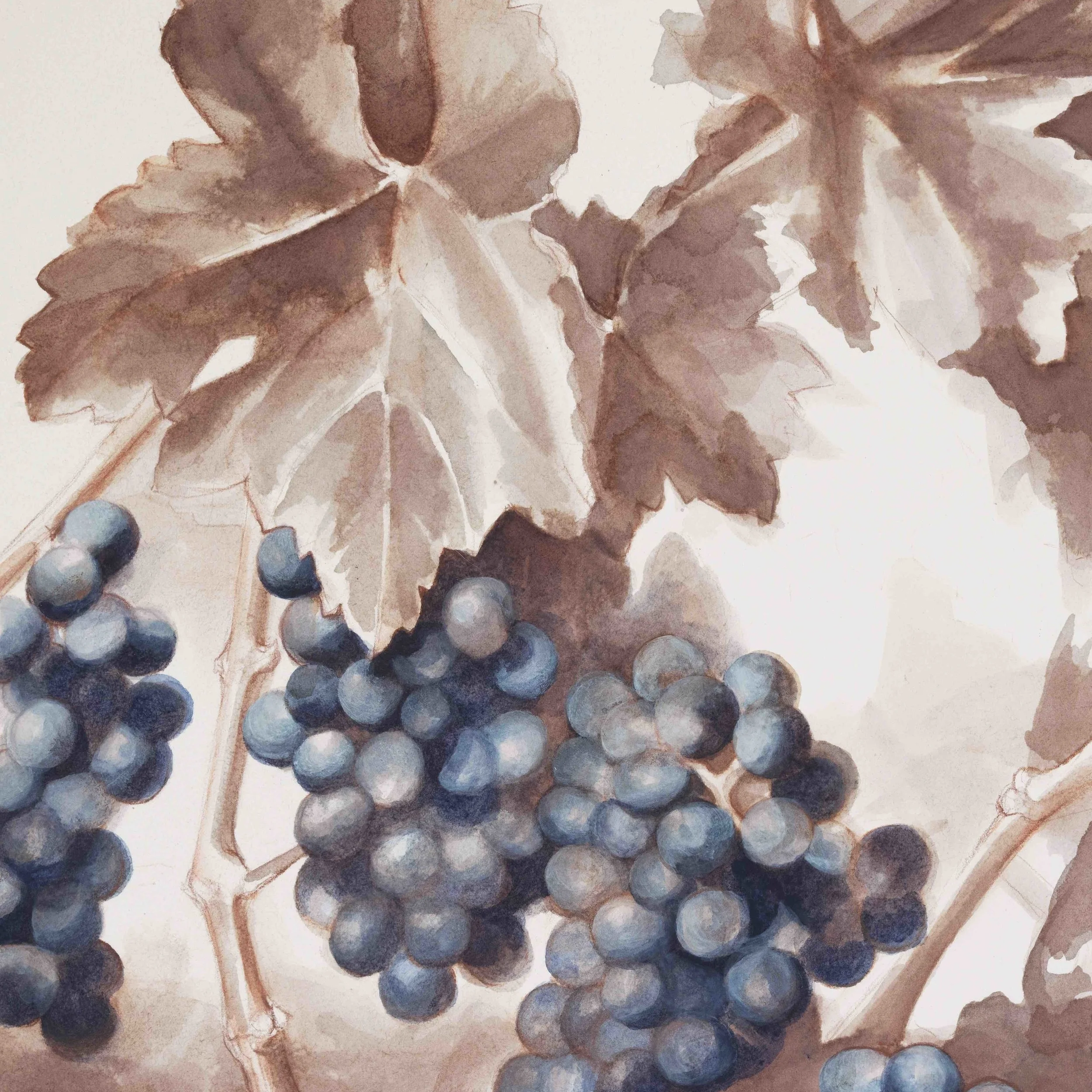 Blue Grapes_sized.jpg