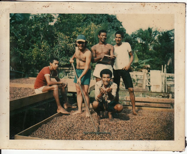 Secando Cacao (1975)