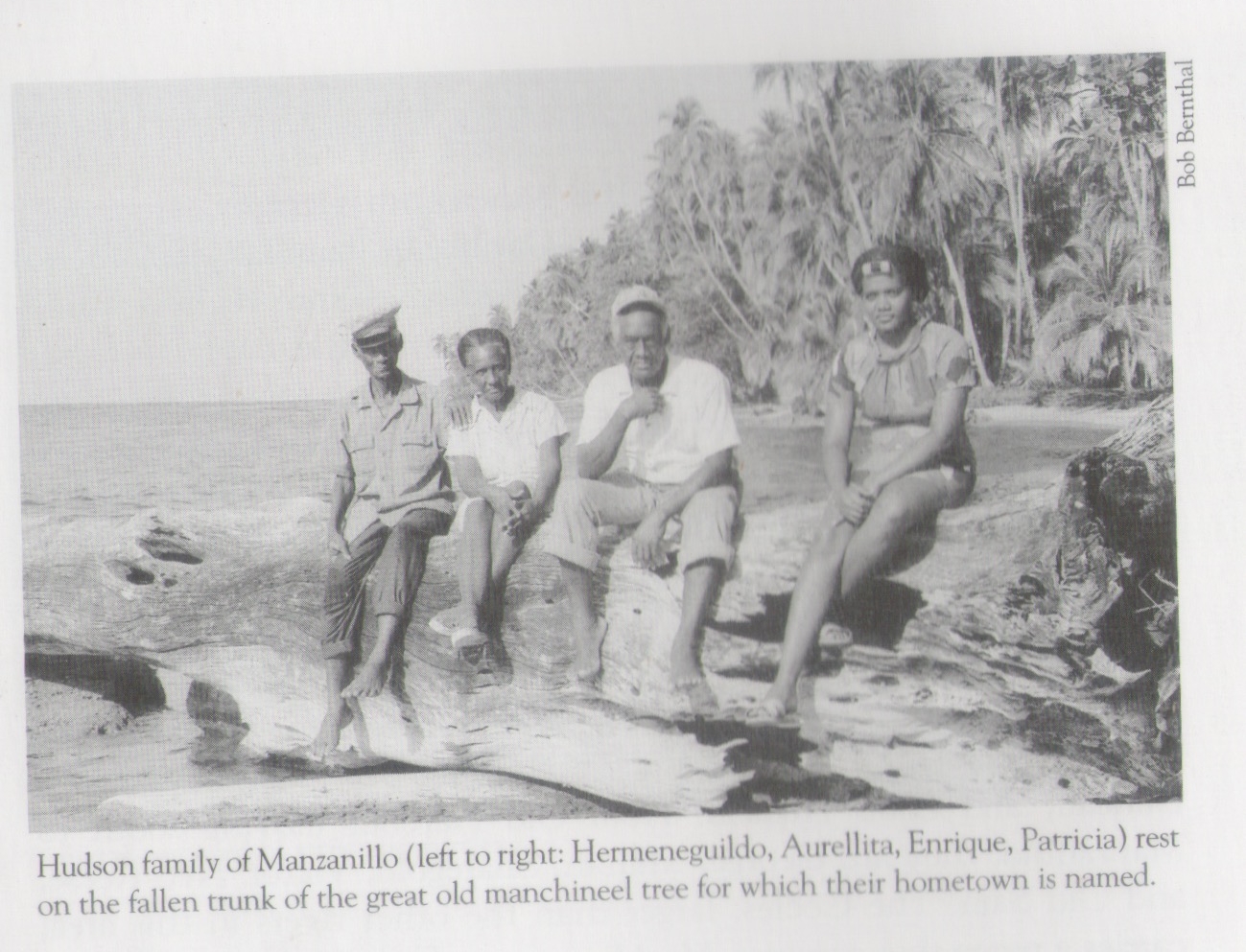 "Hudson family of Manzanillo (left to right: Hermenegildo, Aurellita, Enrique, Patricia) rest on the fallen trunk of the great old manchineel tree for which their hometown is named." Source: "What Happen" by Paula Palmer, p.38 (2005 edition)