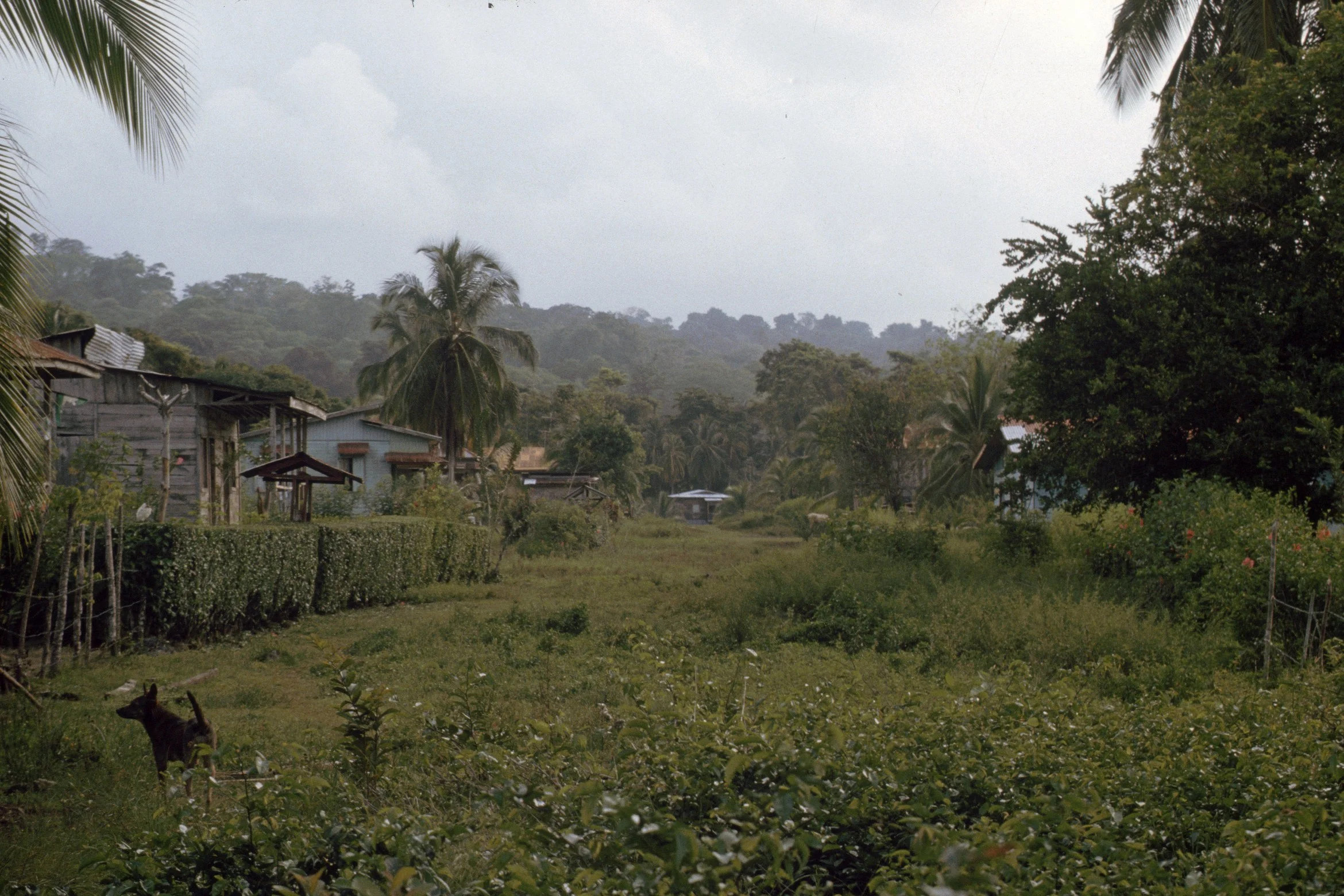 Cuando yo llegué al Caribe Sur: Christina Zingrich