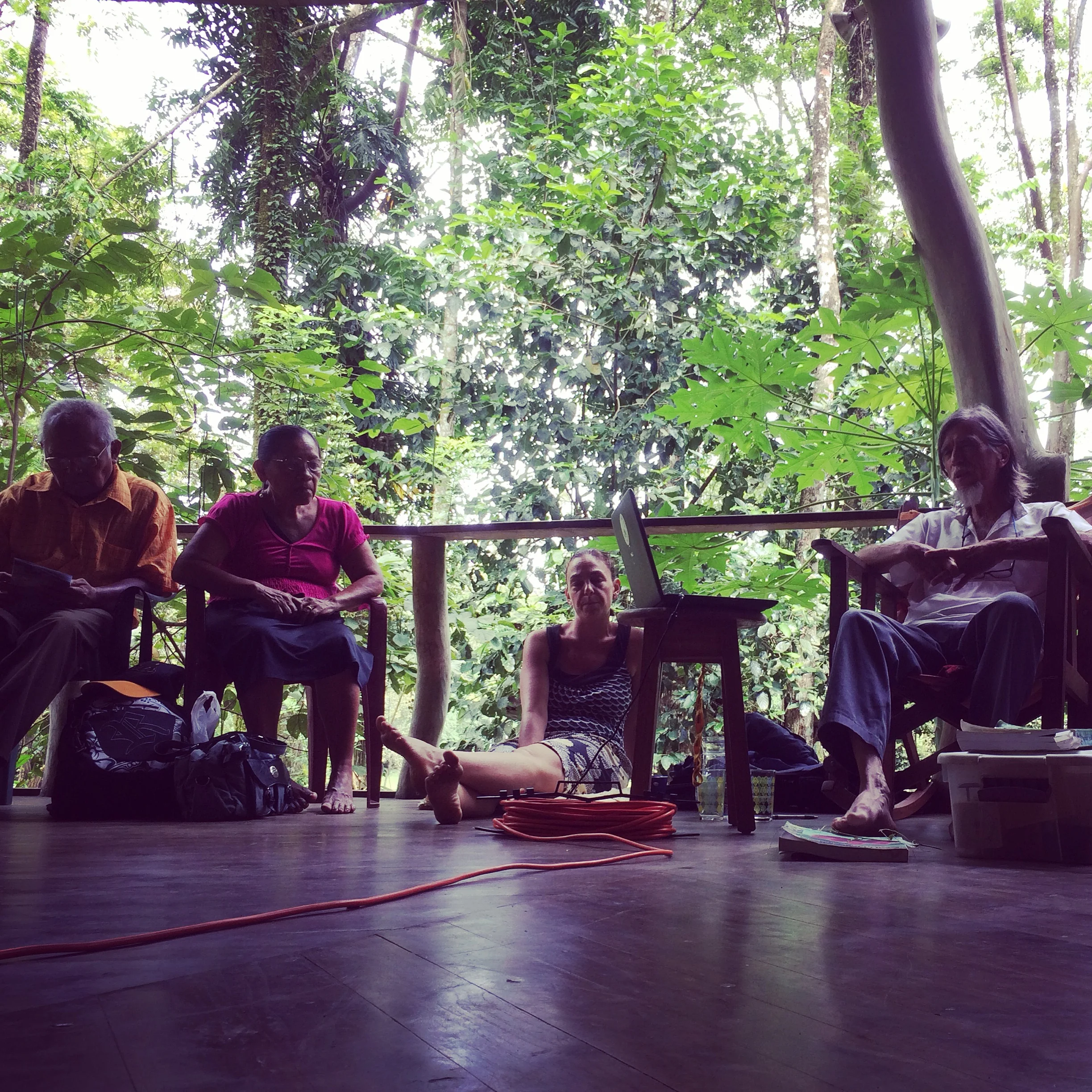 Exploring the importance of traditional medicine through local partnerships