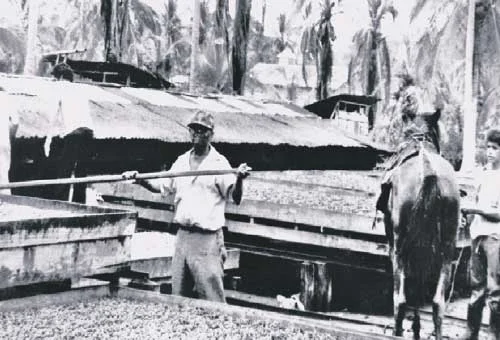 South Caribe Roots Archive creates a space for the collective memory of Caribe Sur