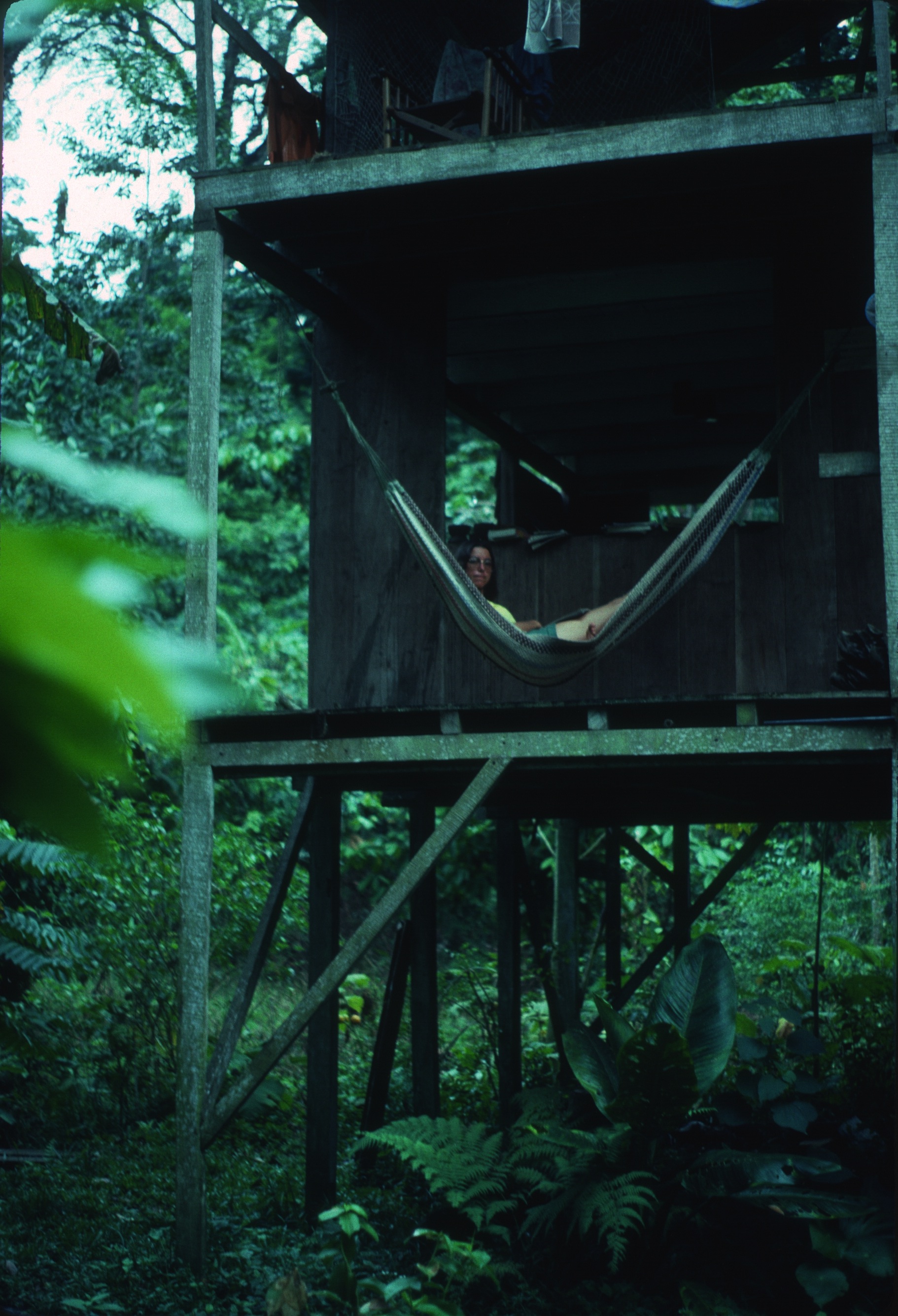   DM_001_004    Paula Palmer    Cocles    9/1/1981    Paula Palmer in a hammock at Mel's house south of Puerto Viejo  