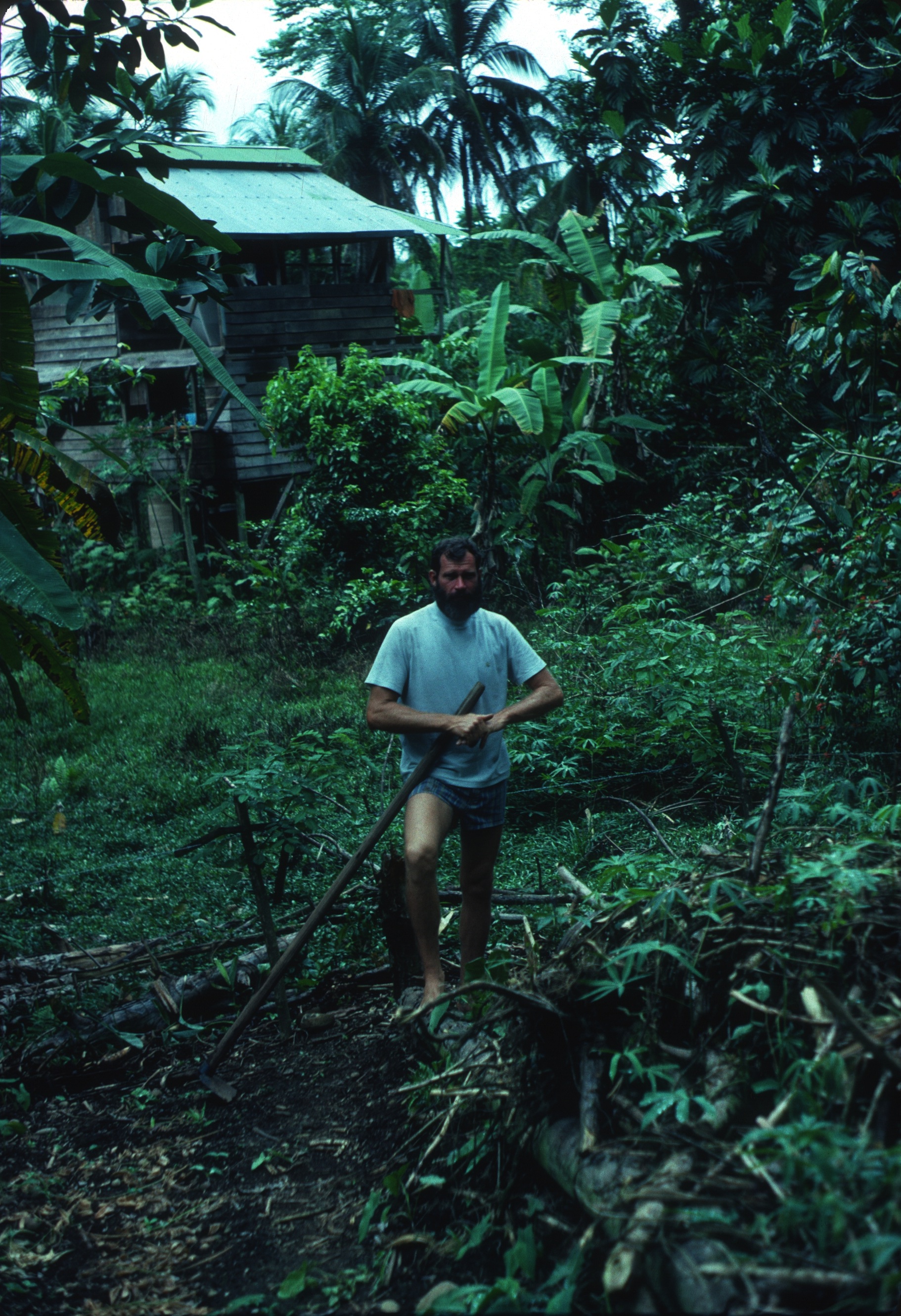   DM_001_009    Mel at his house    Cocles    11/1/1980    Mel in his garden   Photographer: Dan Miller  