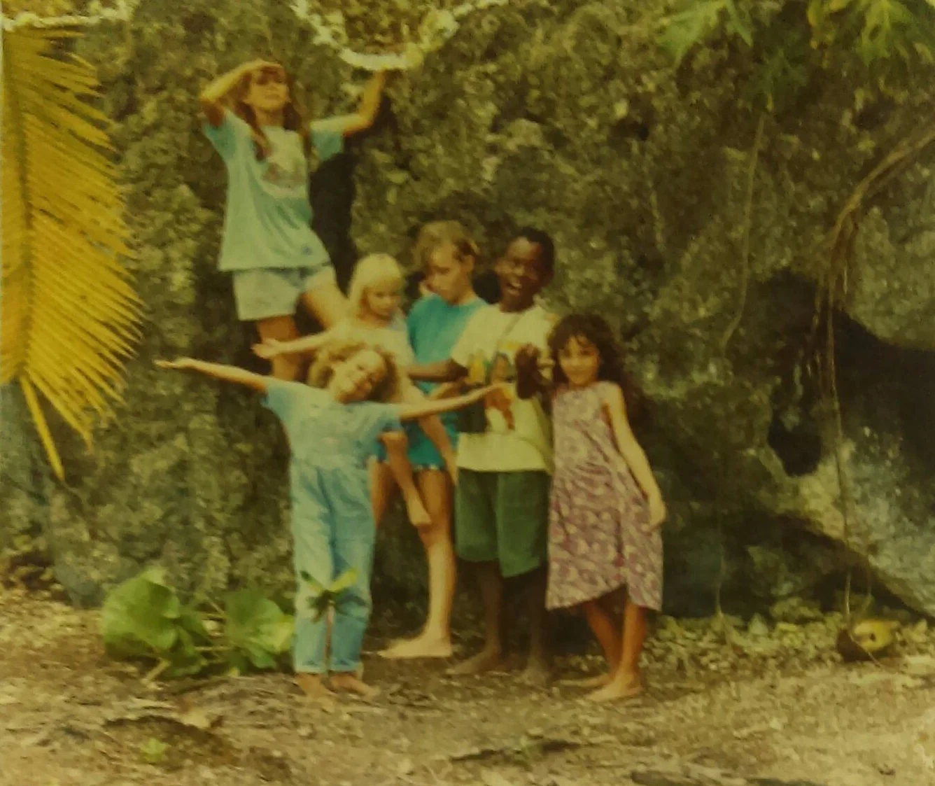 Monica Donley Collection