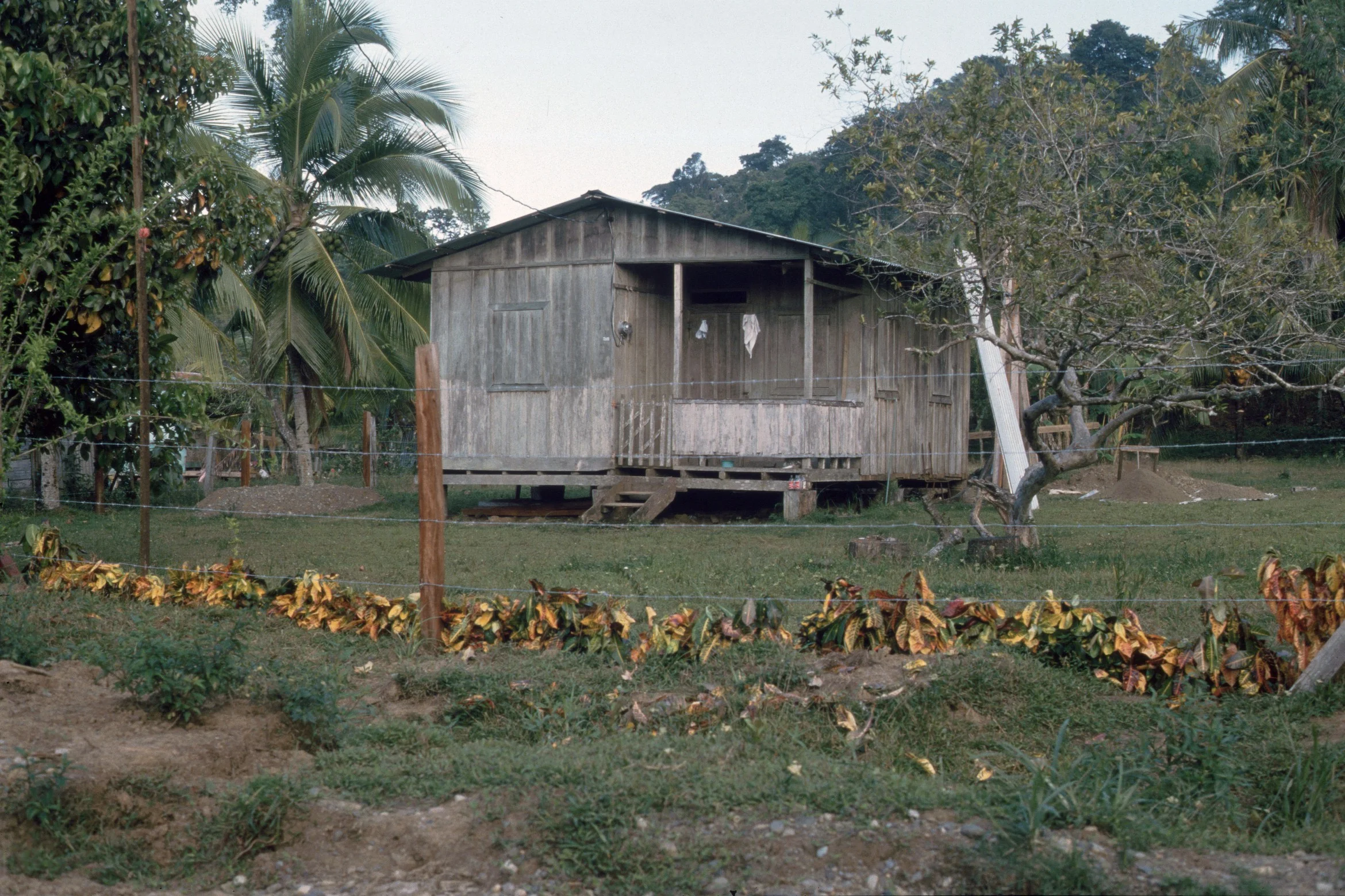 Puerto Viejo 1988 Casa comprada de Gene, hoy casa de Michael Gajek al lado del CENCENAI CZ_001_016