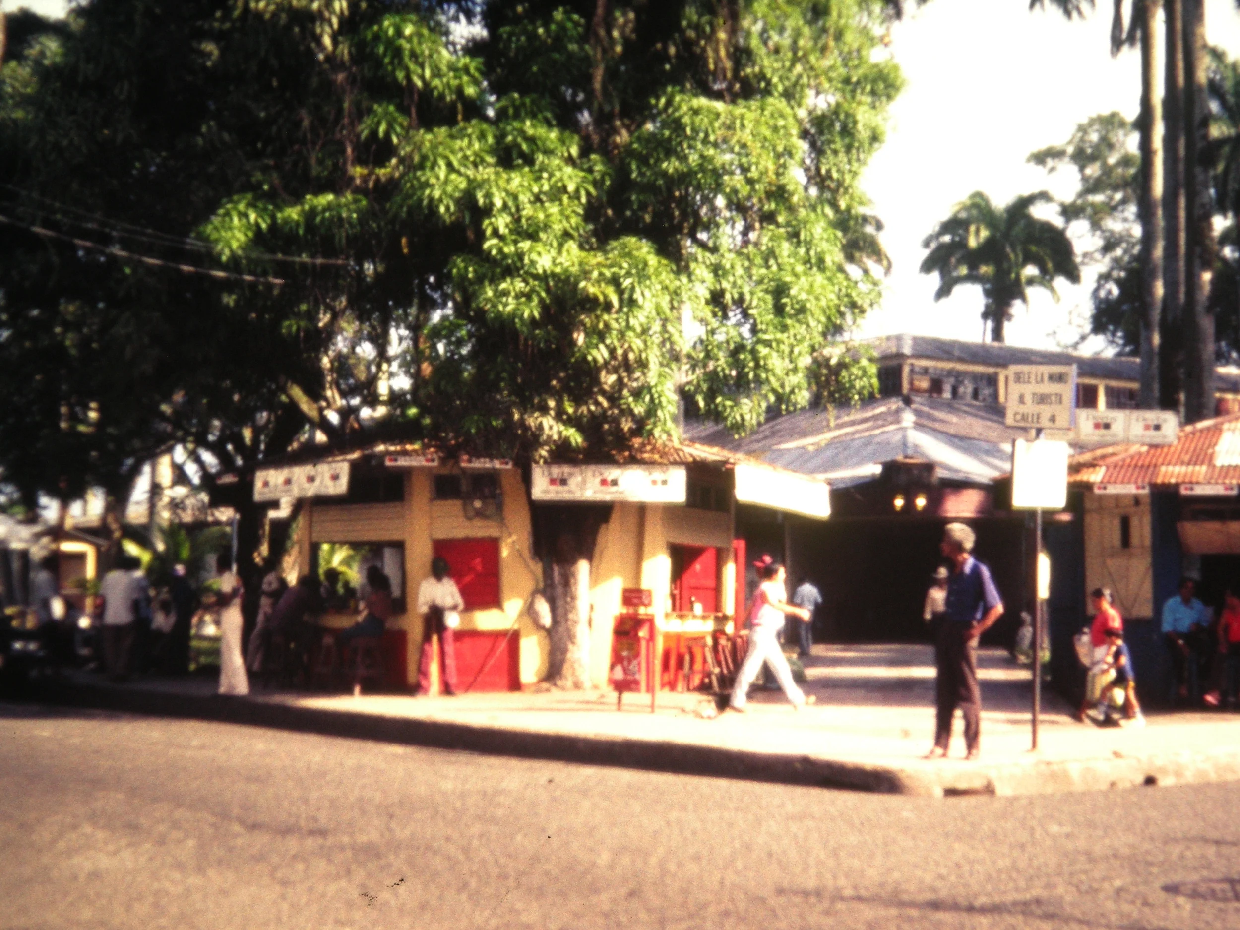 Limón Mercado Limón CZ_001_019