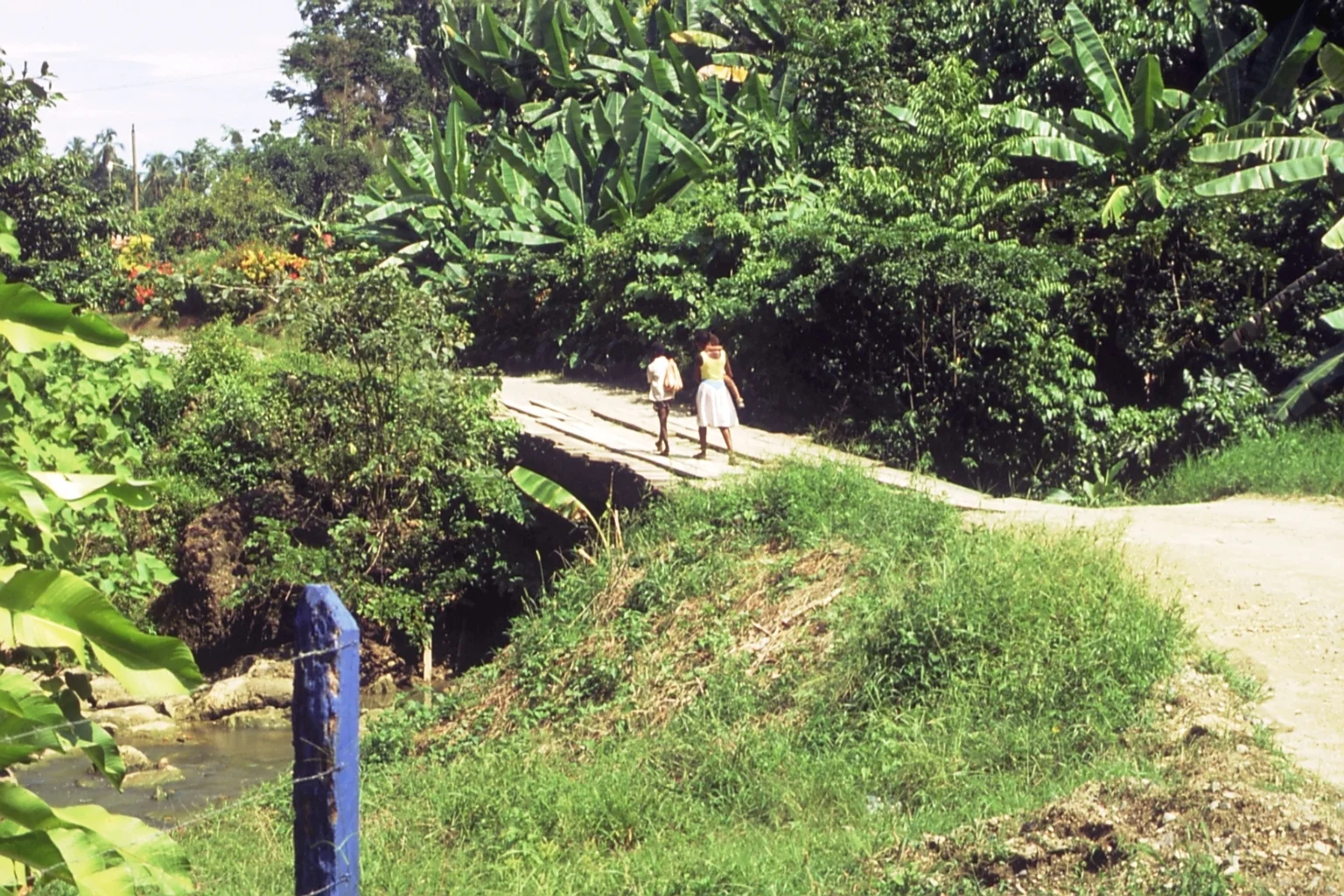 Caminando en Puente Rio Negro Puerto Viejo 1991 CZ_001_036