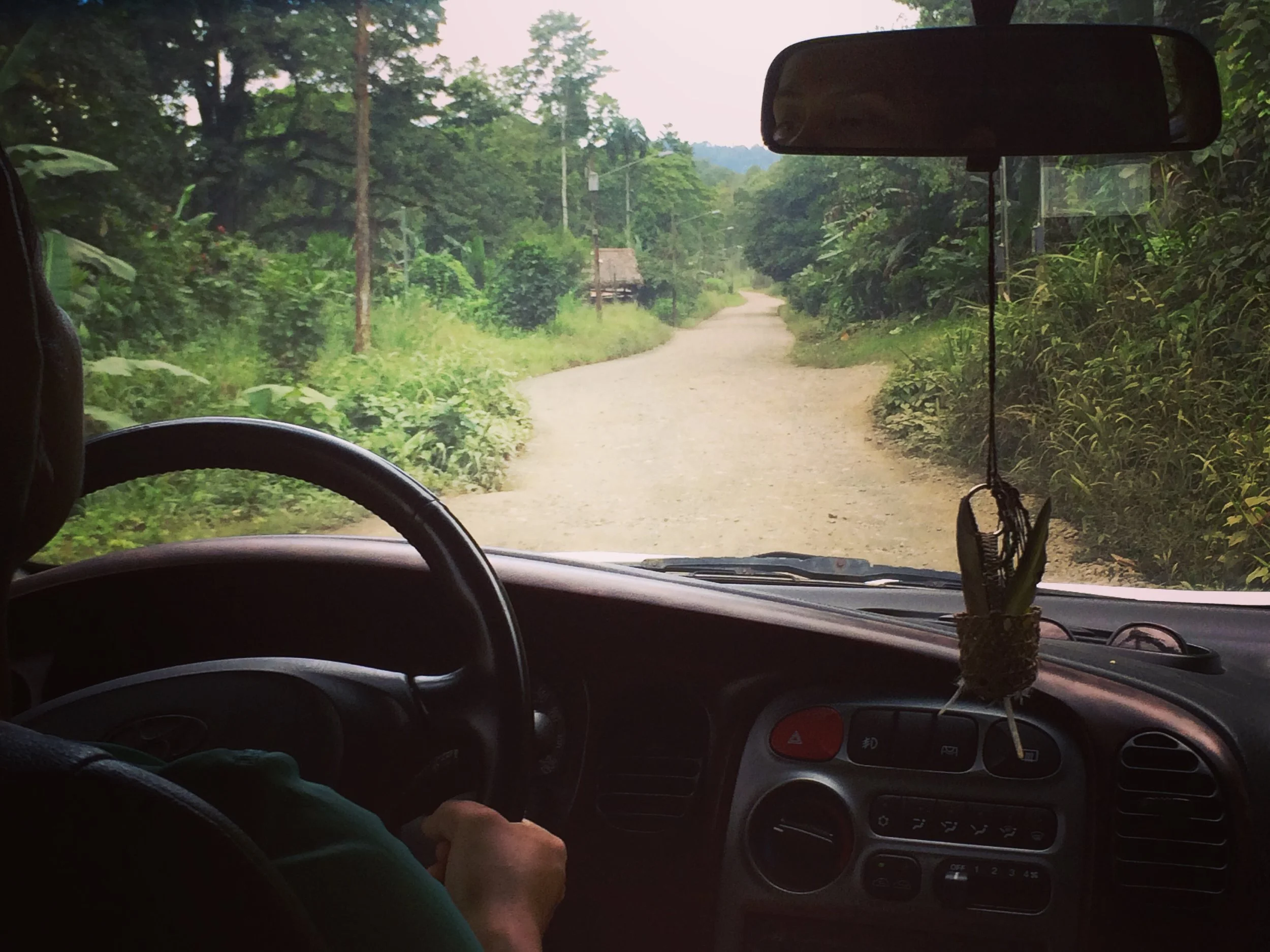 FIELD NOTES: November 8, 2016