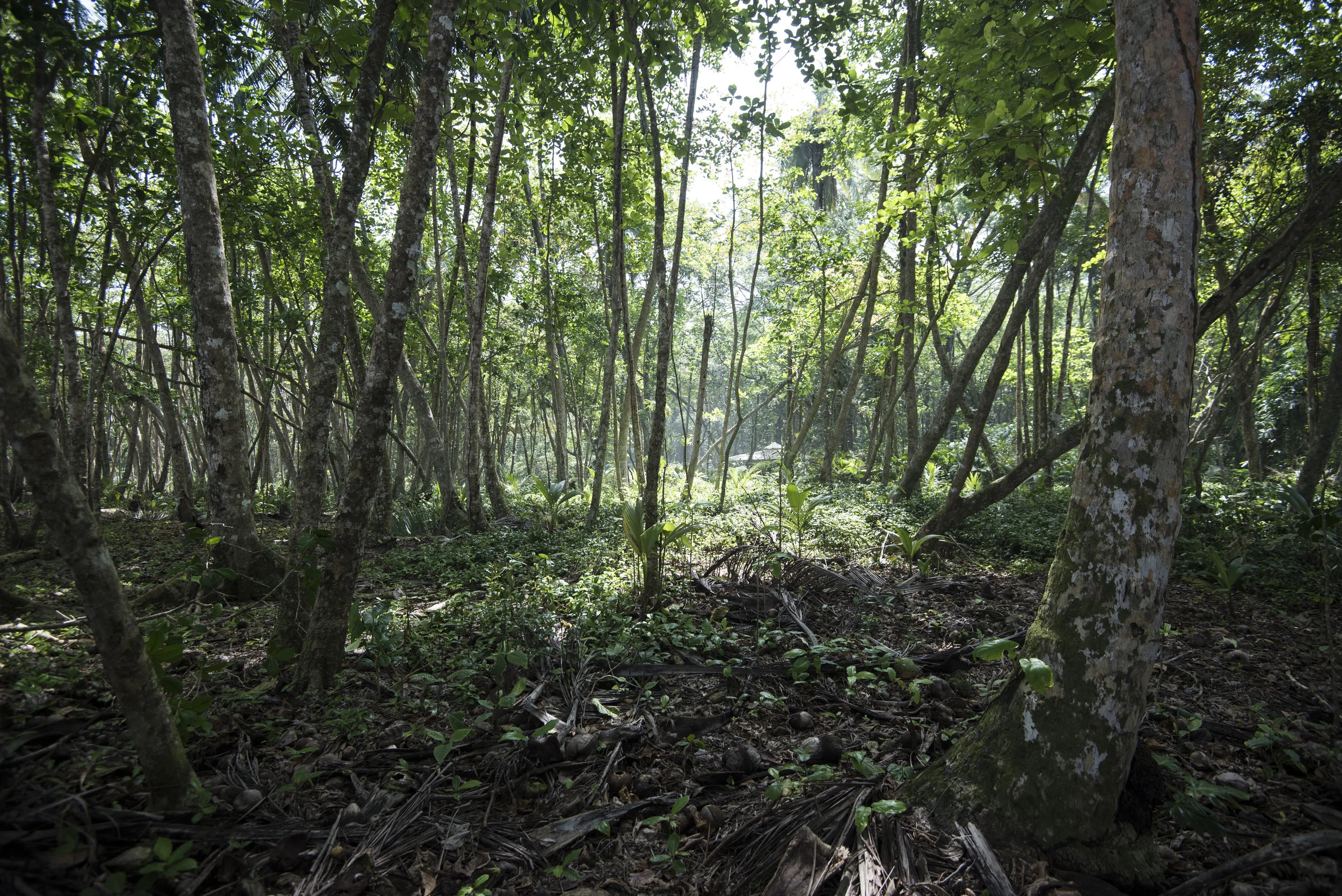 costarica24.JPG