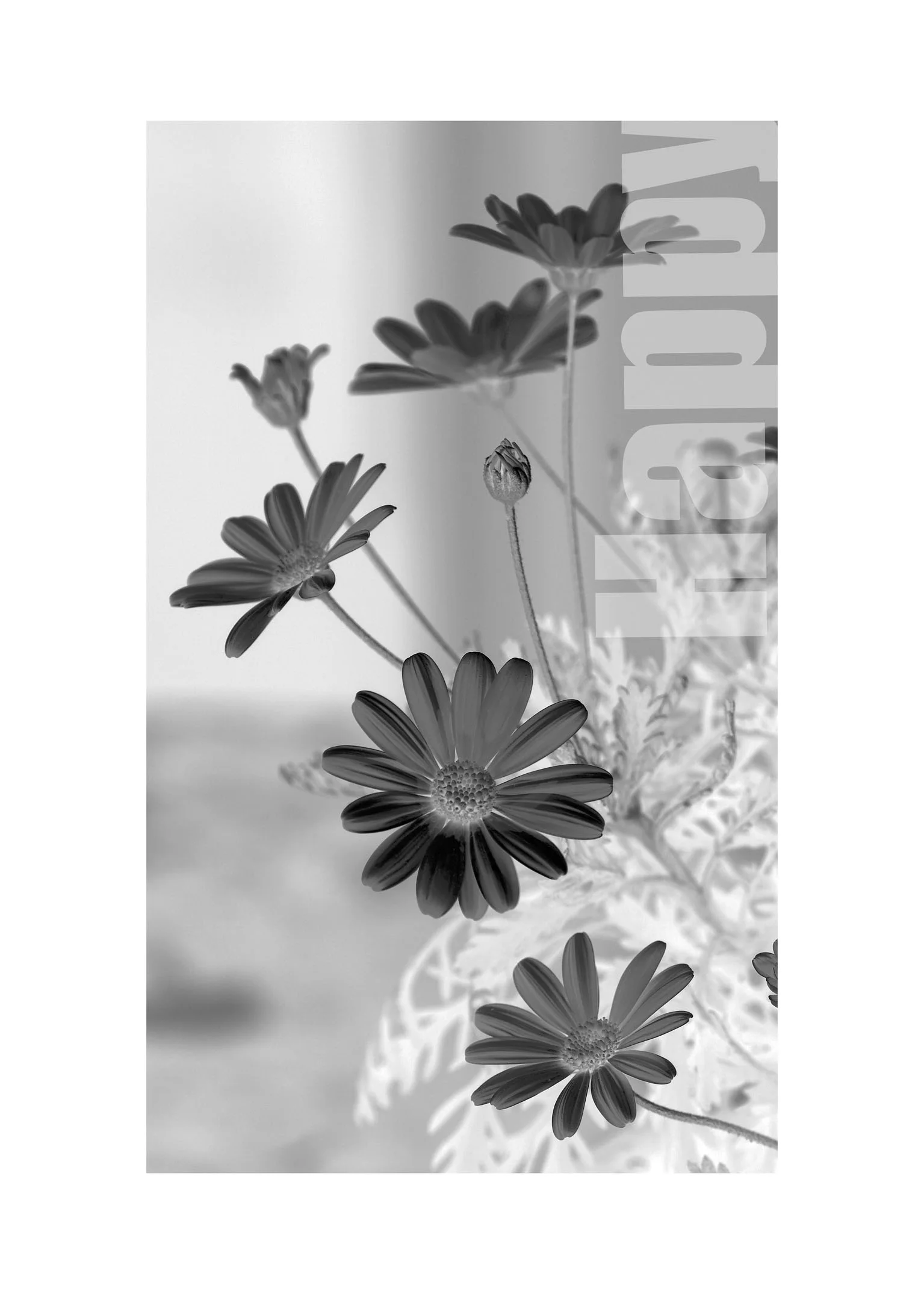  Radisson Blu Hotel Basel