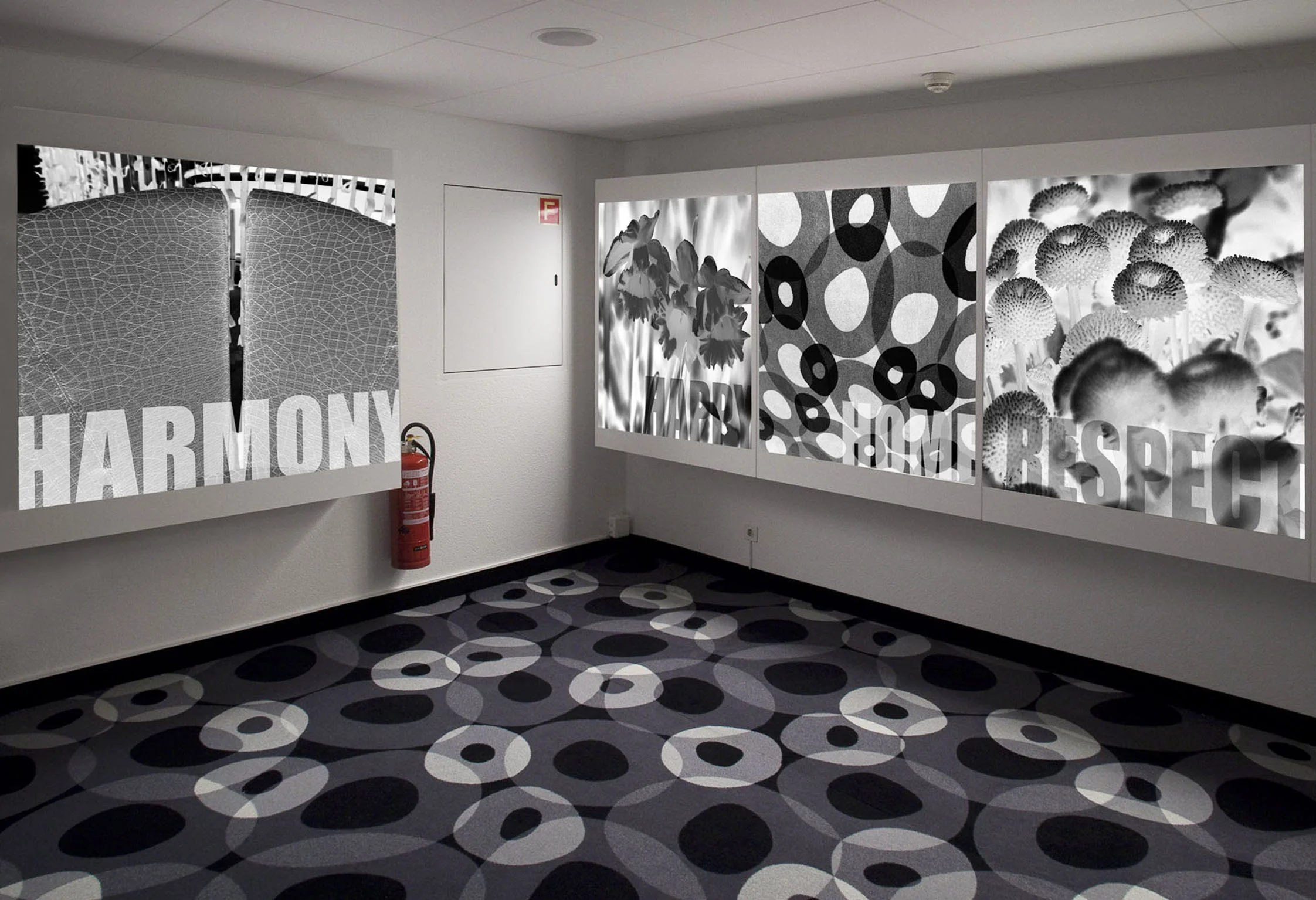 _MG_3299_MONTAGE.jpg