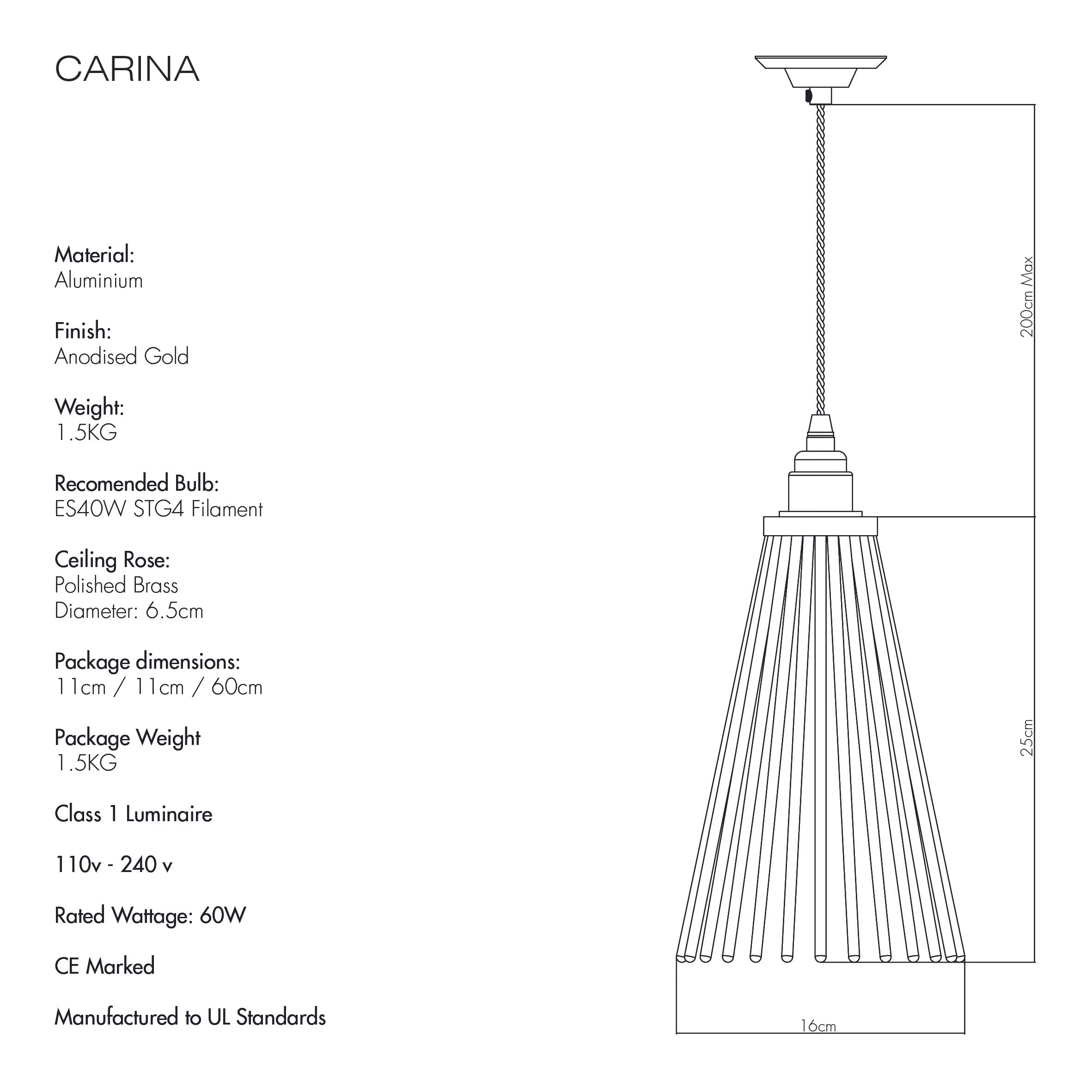CARINA.jpg
