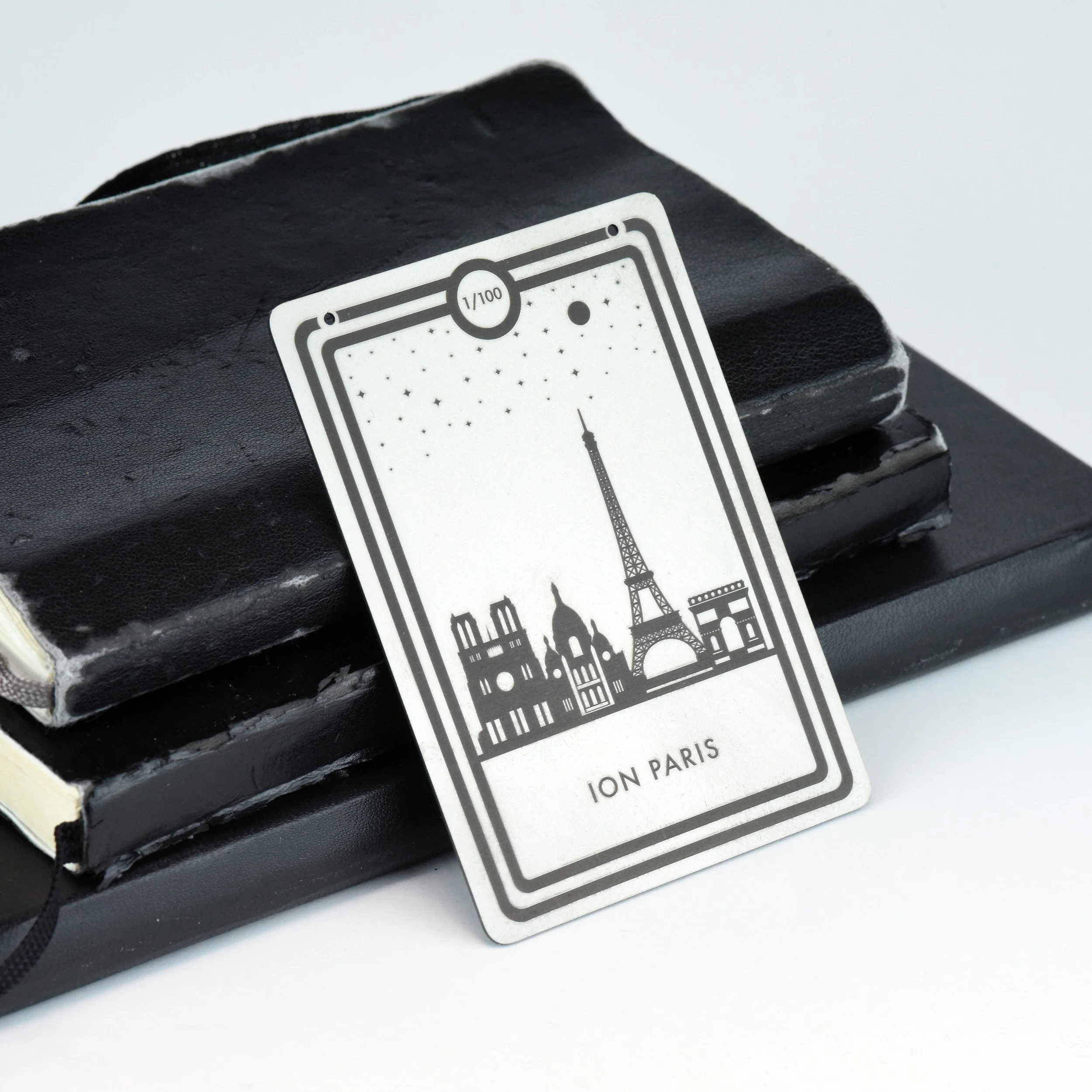 ION Paris Titanium Authentication