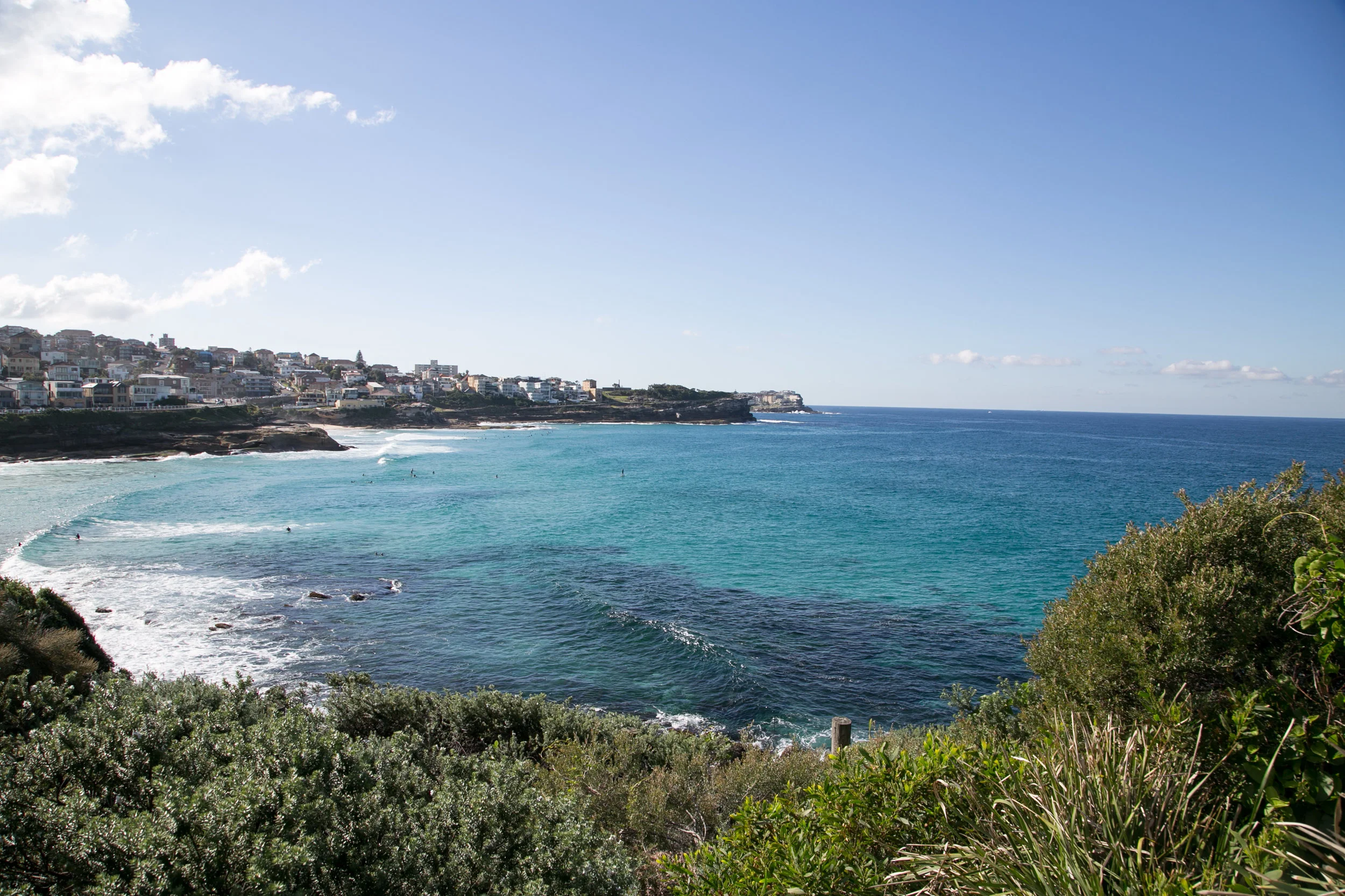 Silent Disco, Coastal Walk, Yoga and Picnic