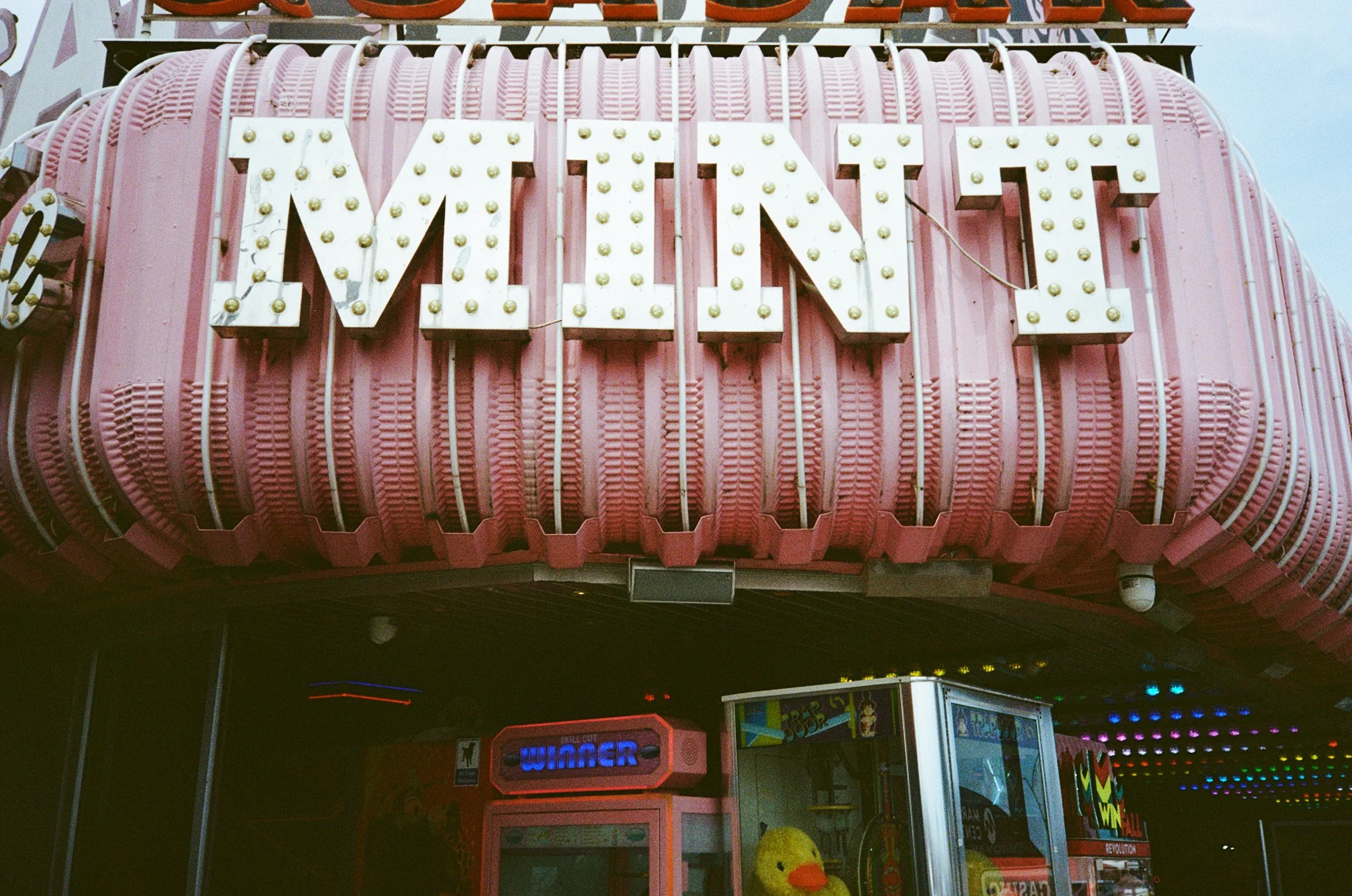MINT copy.jpg