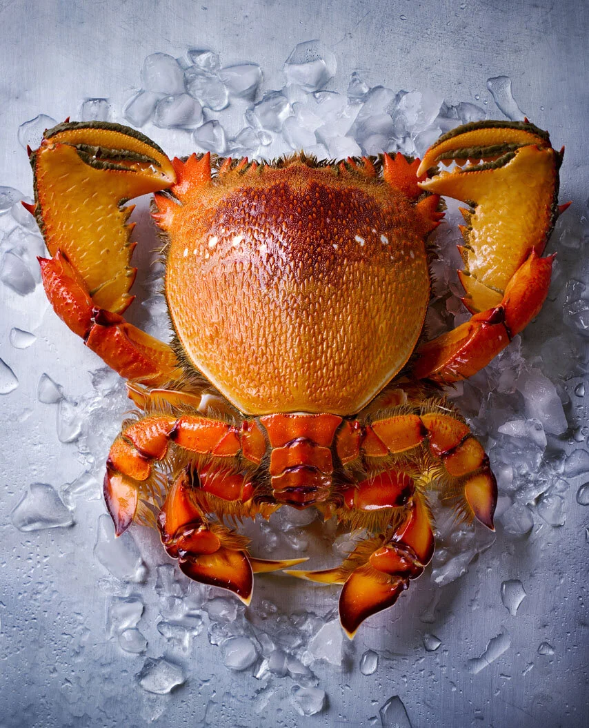 Frasier Island Spanner Crab — Waves Pacific