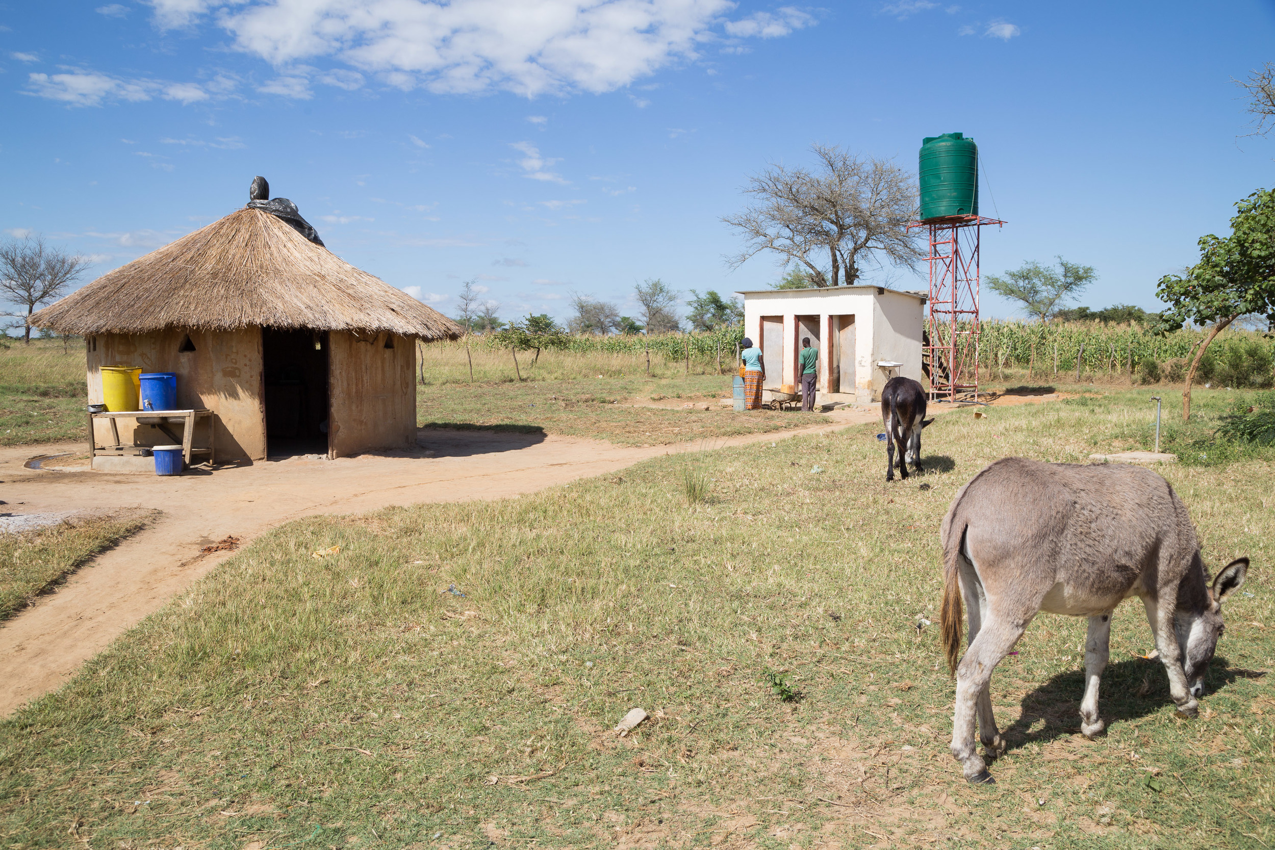 School Kitchen, Toilet, and Shower