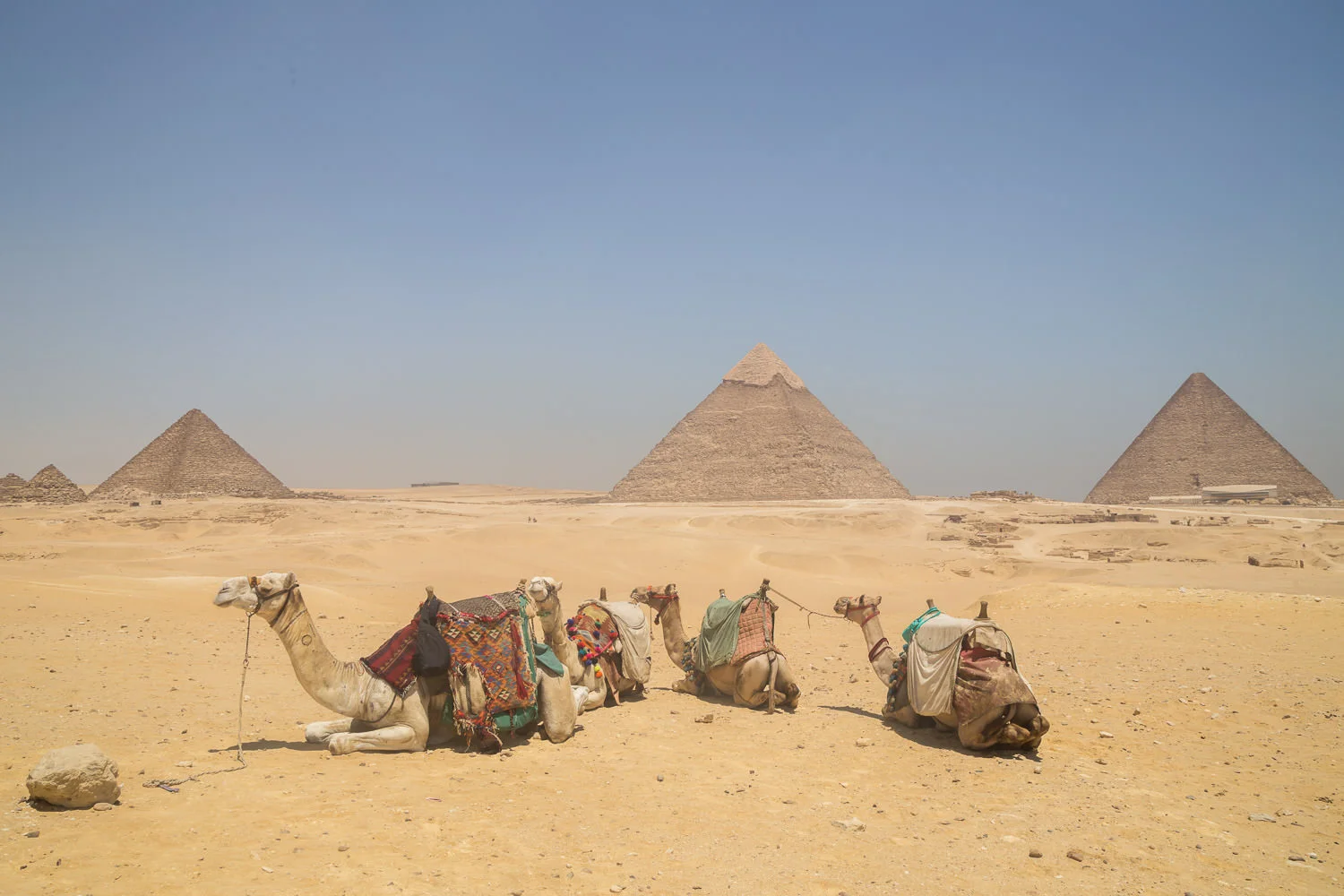 Giza at Last