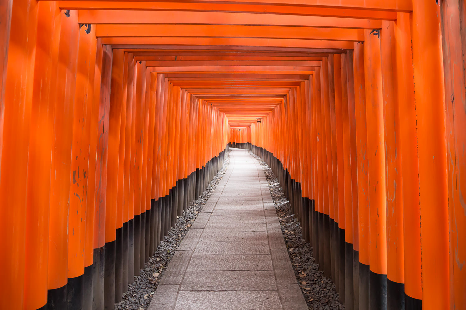 Fushimi Inari