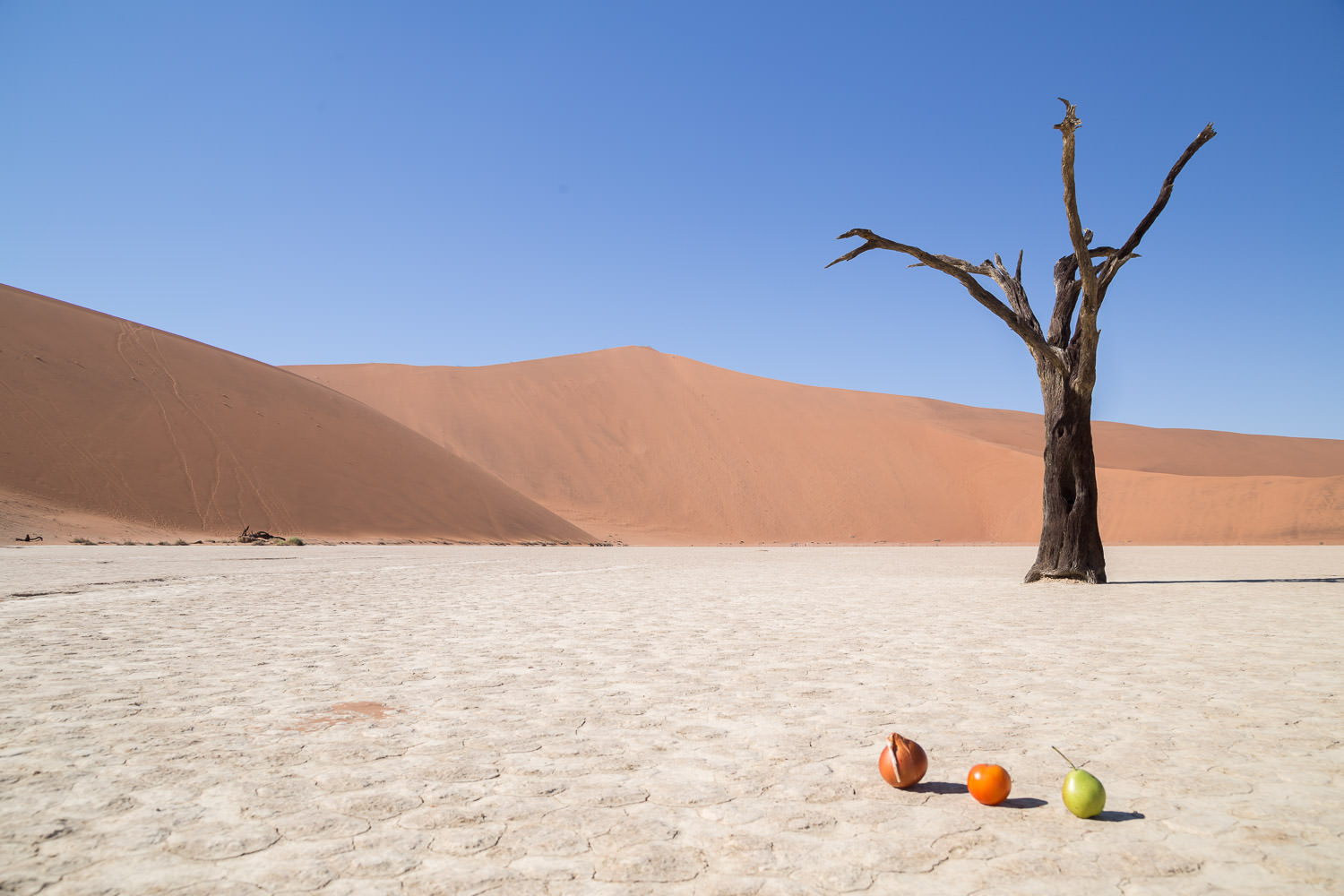 Fruit Desert