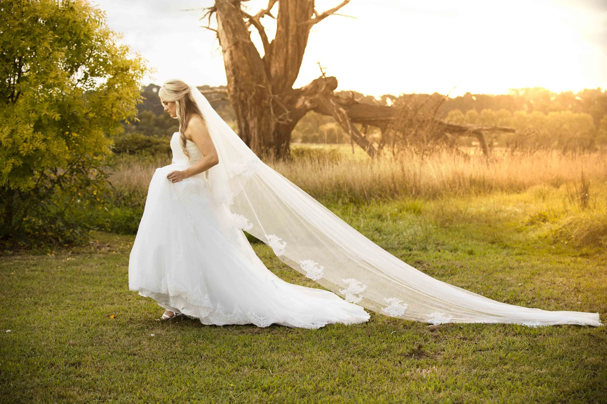 100045 Jess and Beau-1120-Edit.jpg