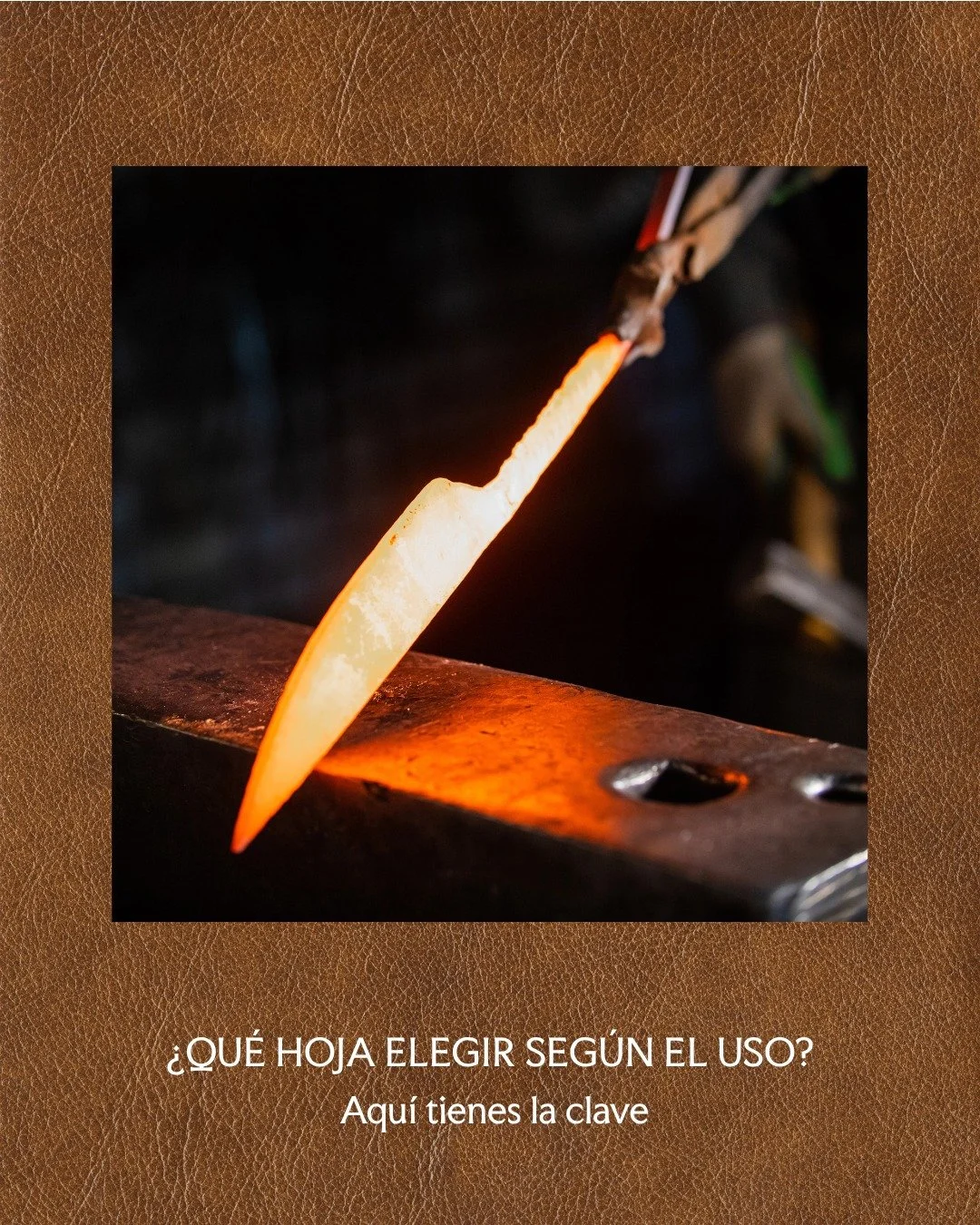 🔪 No todas las hojas sirven para todo. Si buscas precisi&oacute;n, un cuchillo de filo fino y punta baja tipo kiridashi es ideal. Para cocina, mejor hoja ancha con lomo estable. Y para tareas de campo, cuchillos enterizos y robustos.

🔍 En nuestros