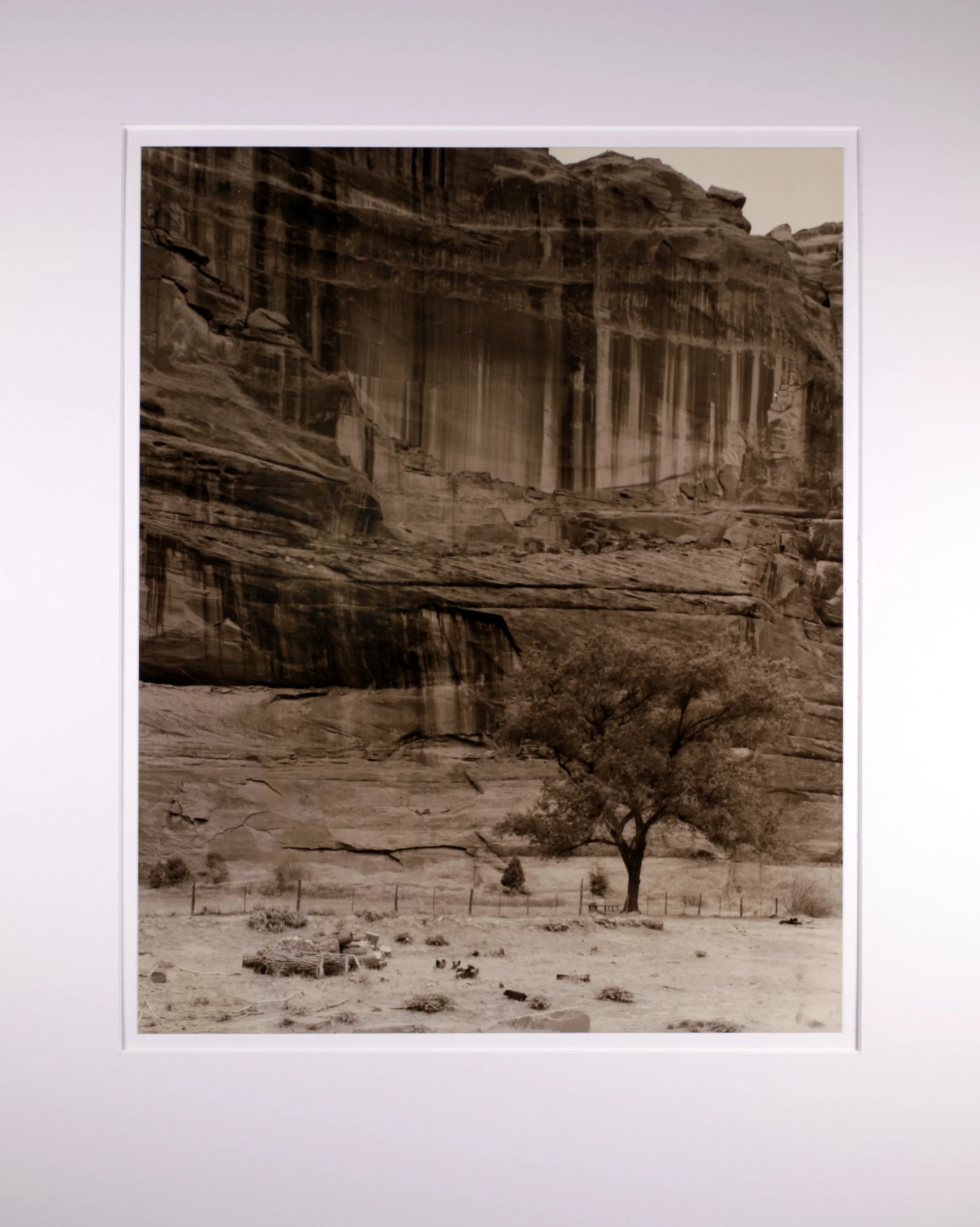 White House Ruin III Sepia.JPG