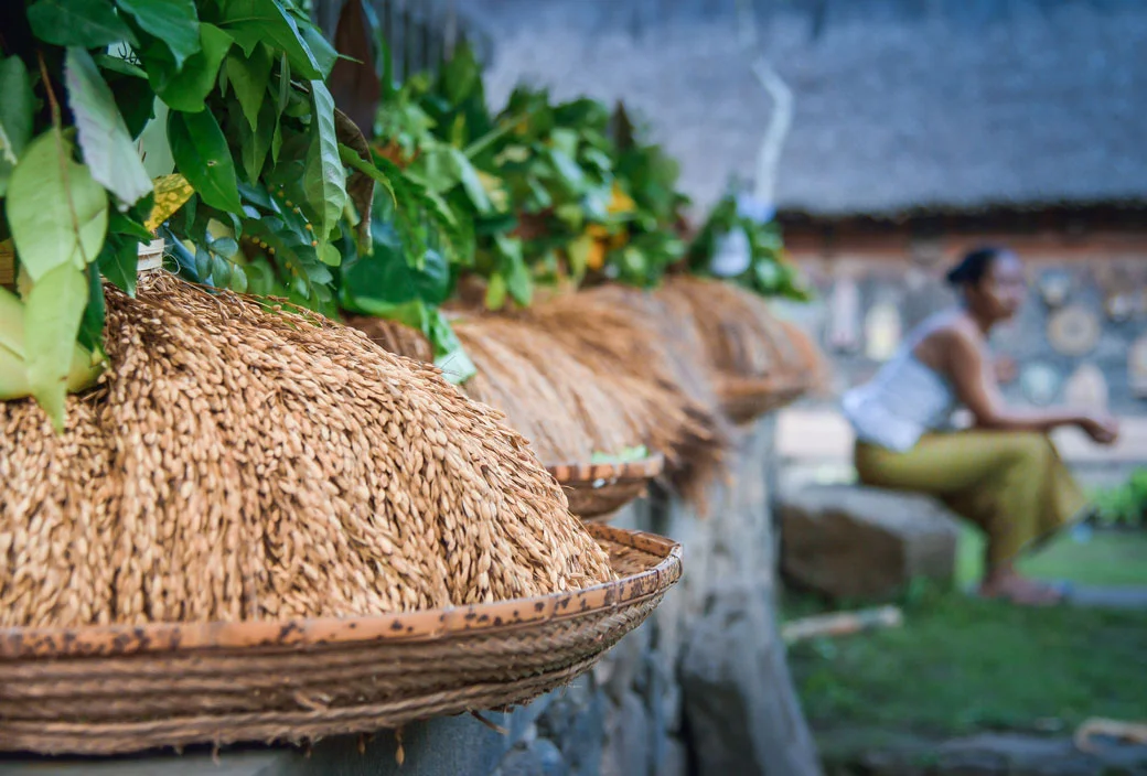 5 The Source of Life