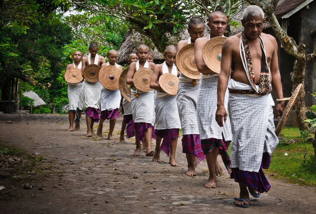 13 Out of the Cocoon