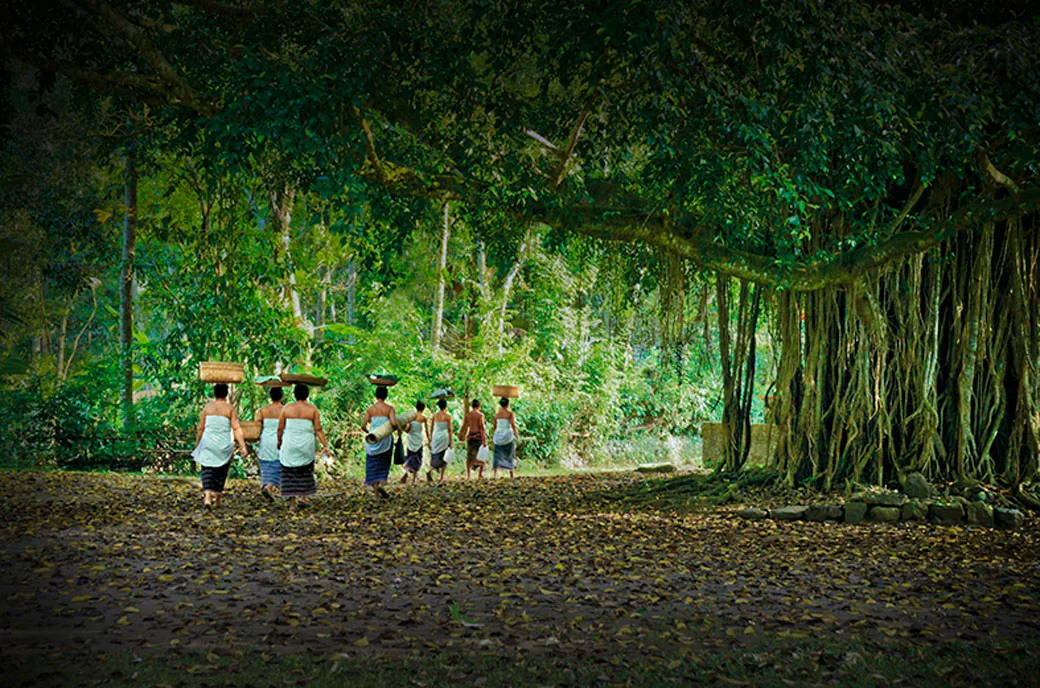 50 A Path of Devotion (2)
