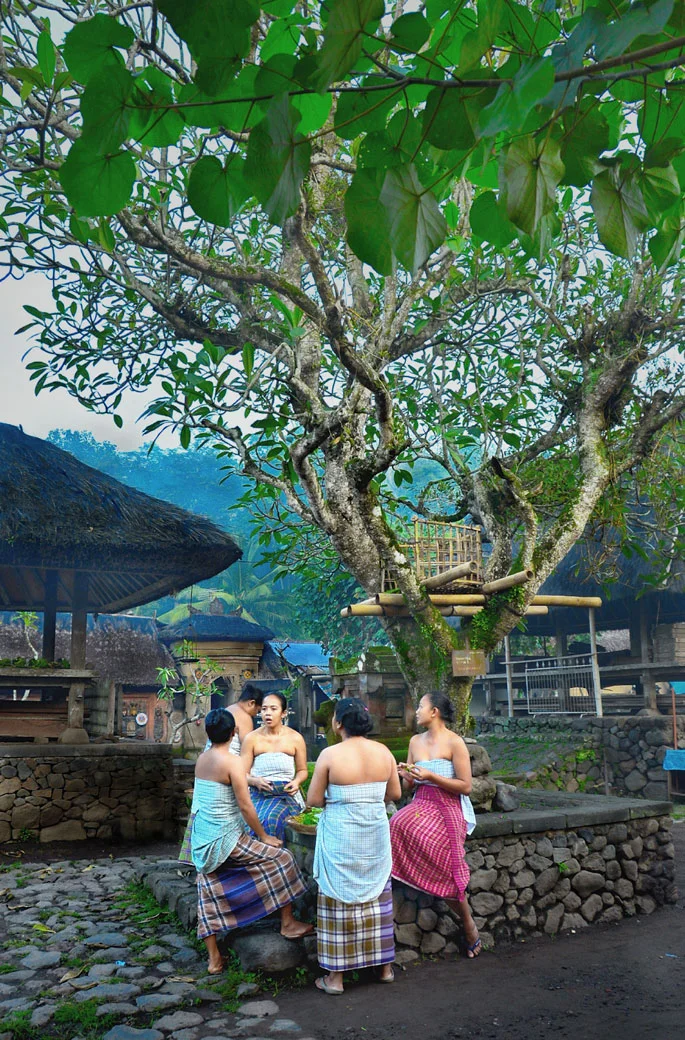 45 Ladies in Waiting (2)