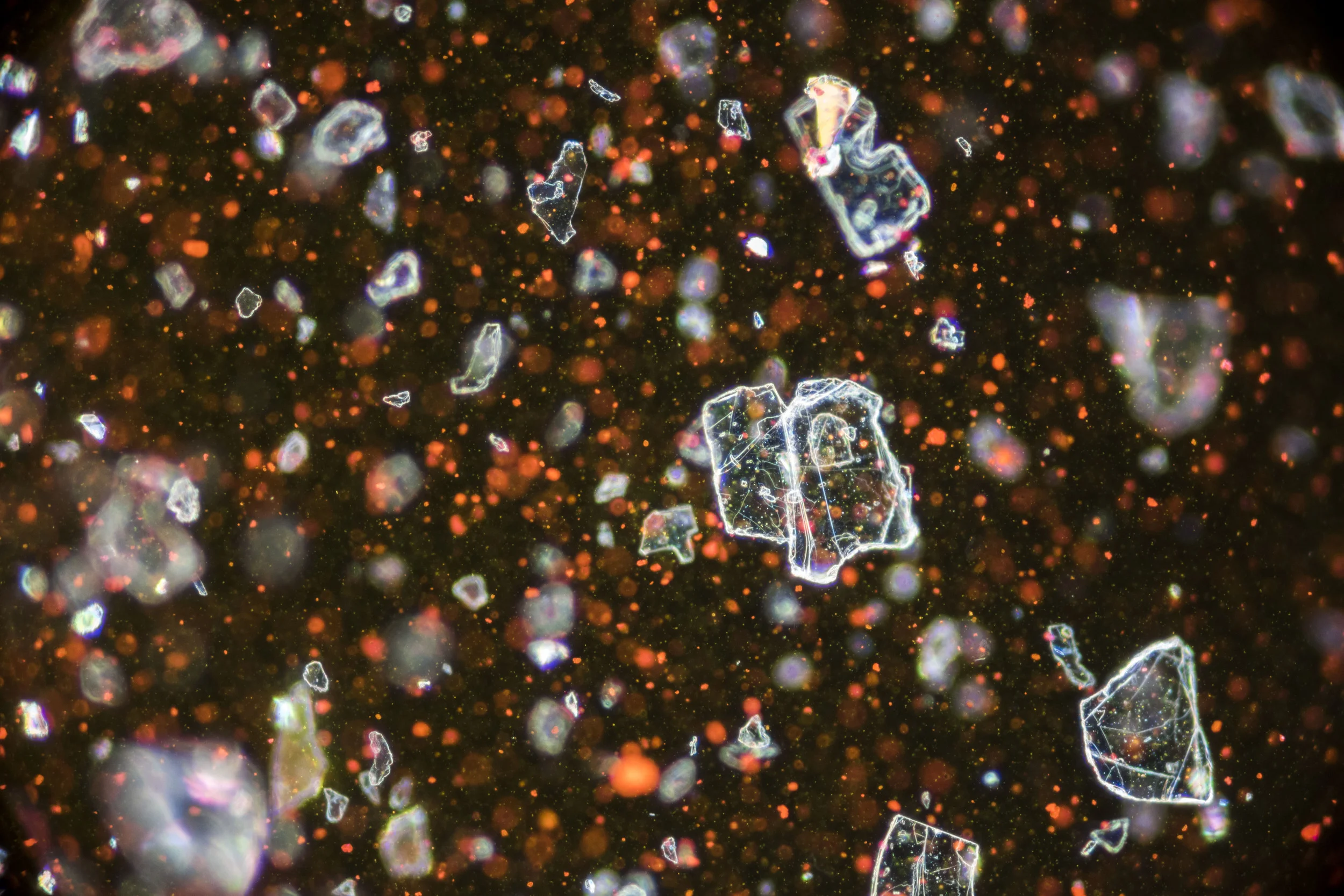 Lipgloss (x40 Magnification)